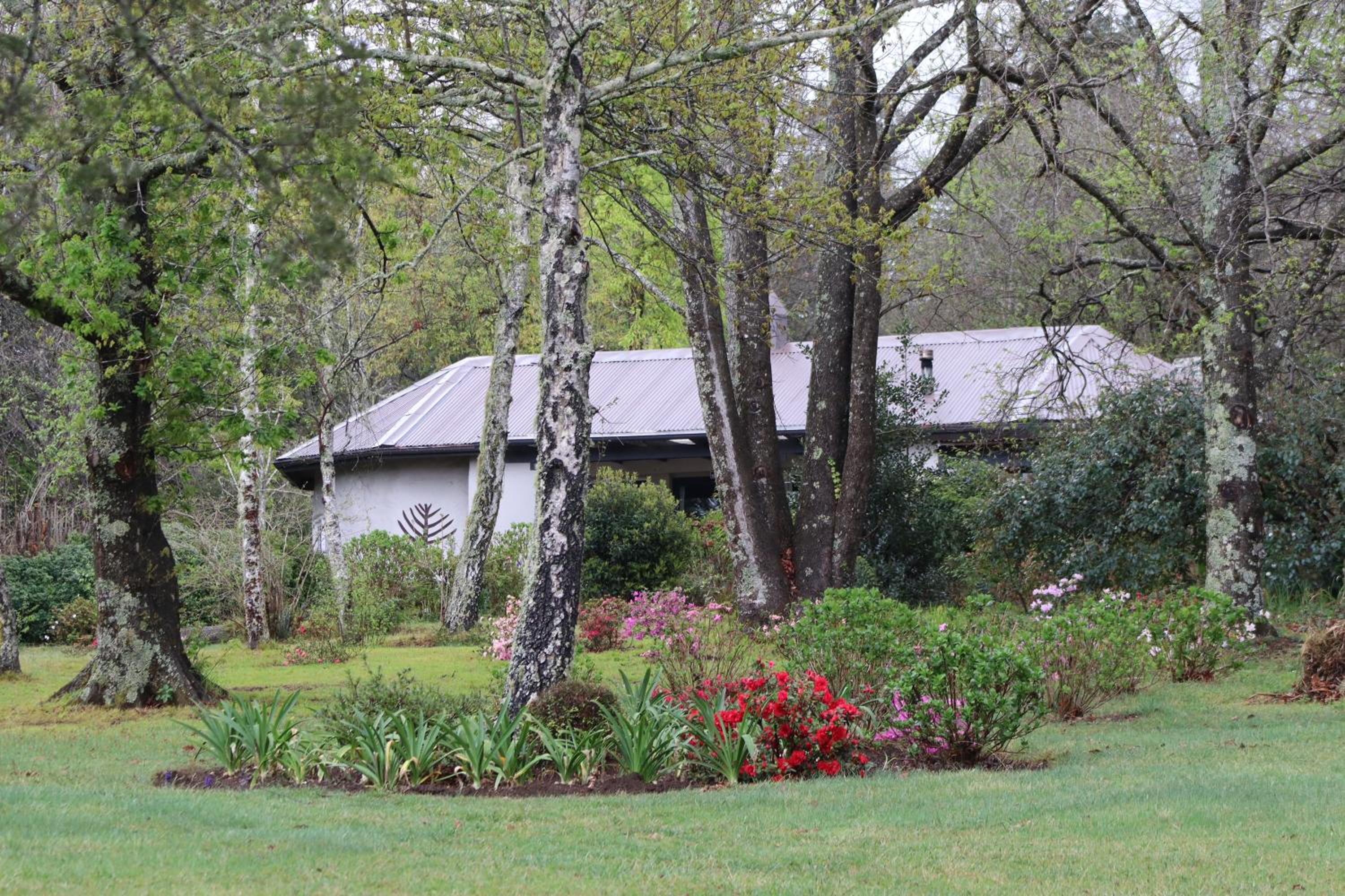Bramber Cottage Hogsback, Living With Joy! view 3