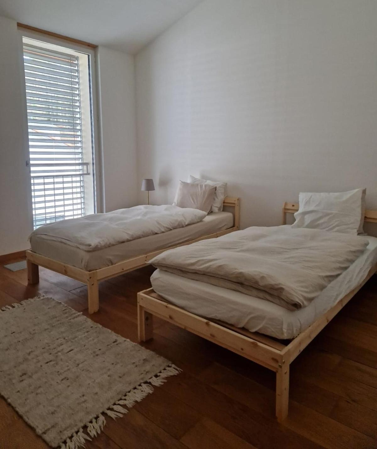 Wonderful cozy apartment very well located