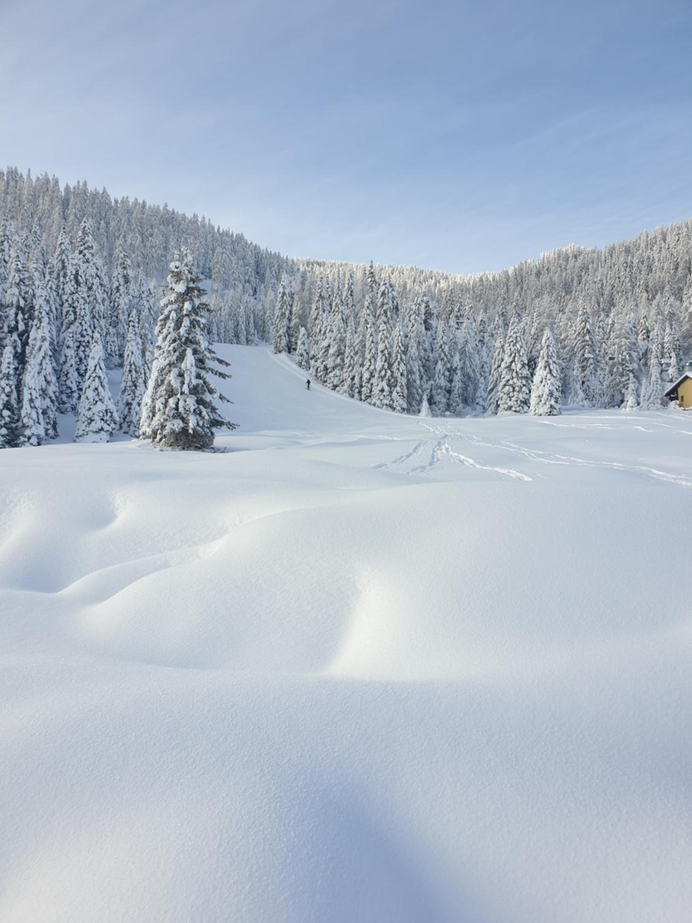 Ferienhaus Schäfer - Apartments - Wintersports - Family holiday - Holiday with your dog - Rural & Scenic