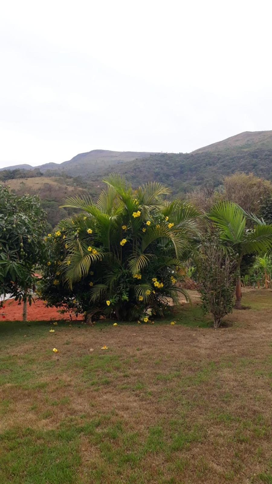 Sítio da Serra em Ouro Preto MG - POUSADA