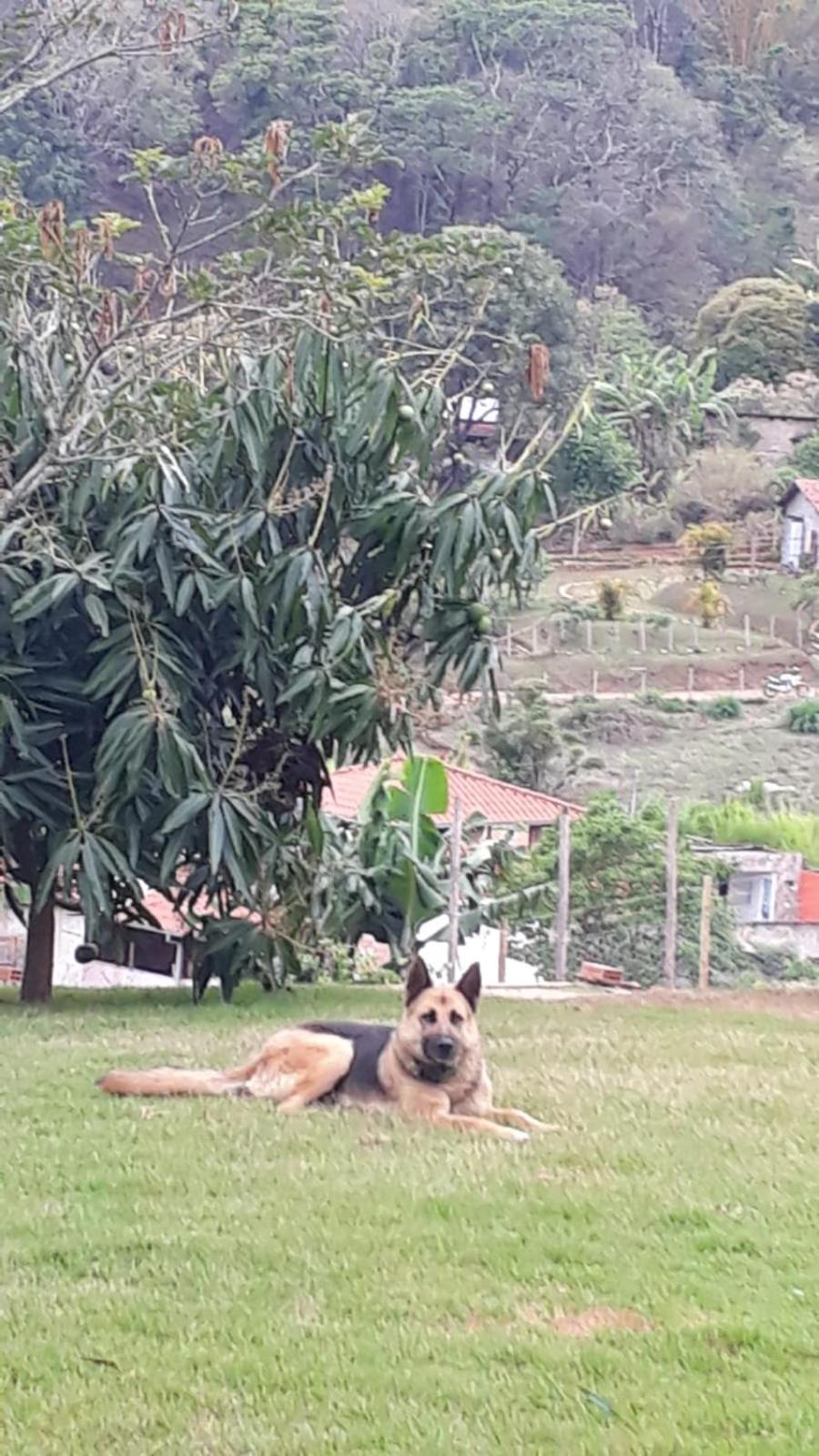 Sítio da Serra em Ouro Preto MG - POUSADA