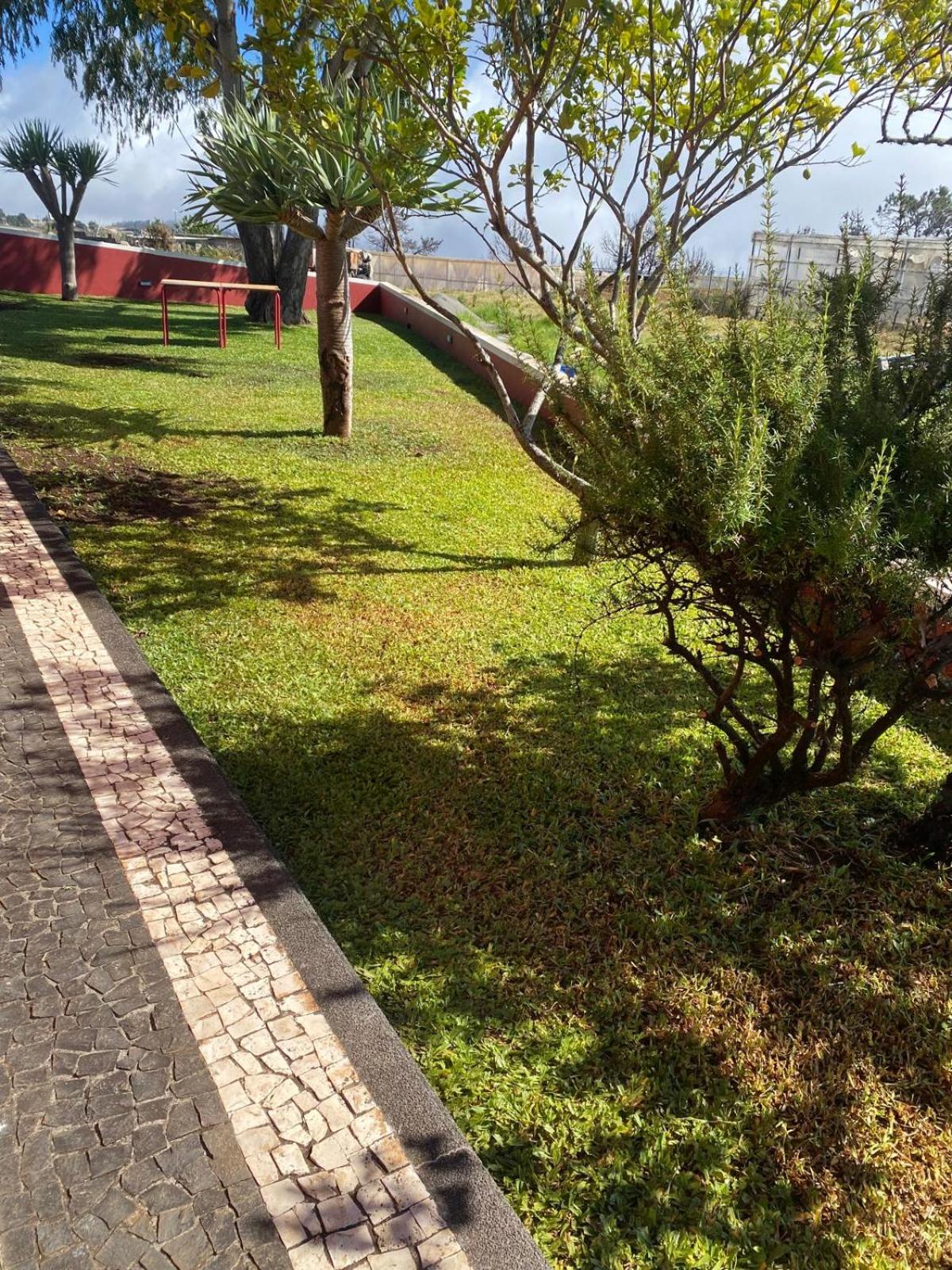 Vila Henrique Country Cottage