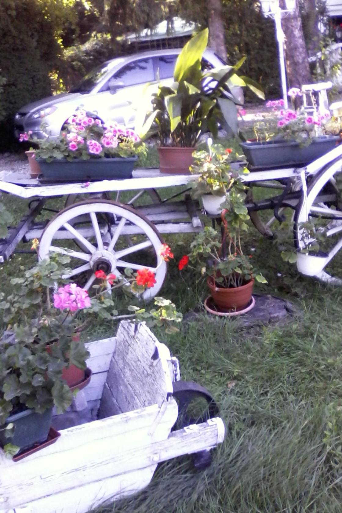 Photo 58