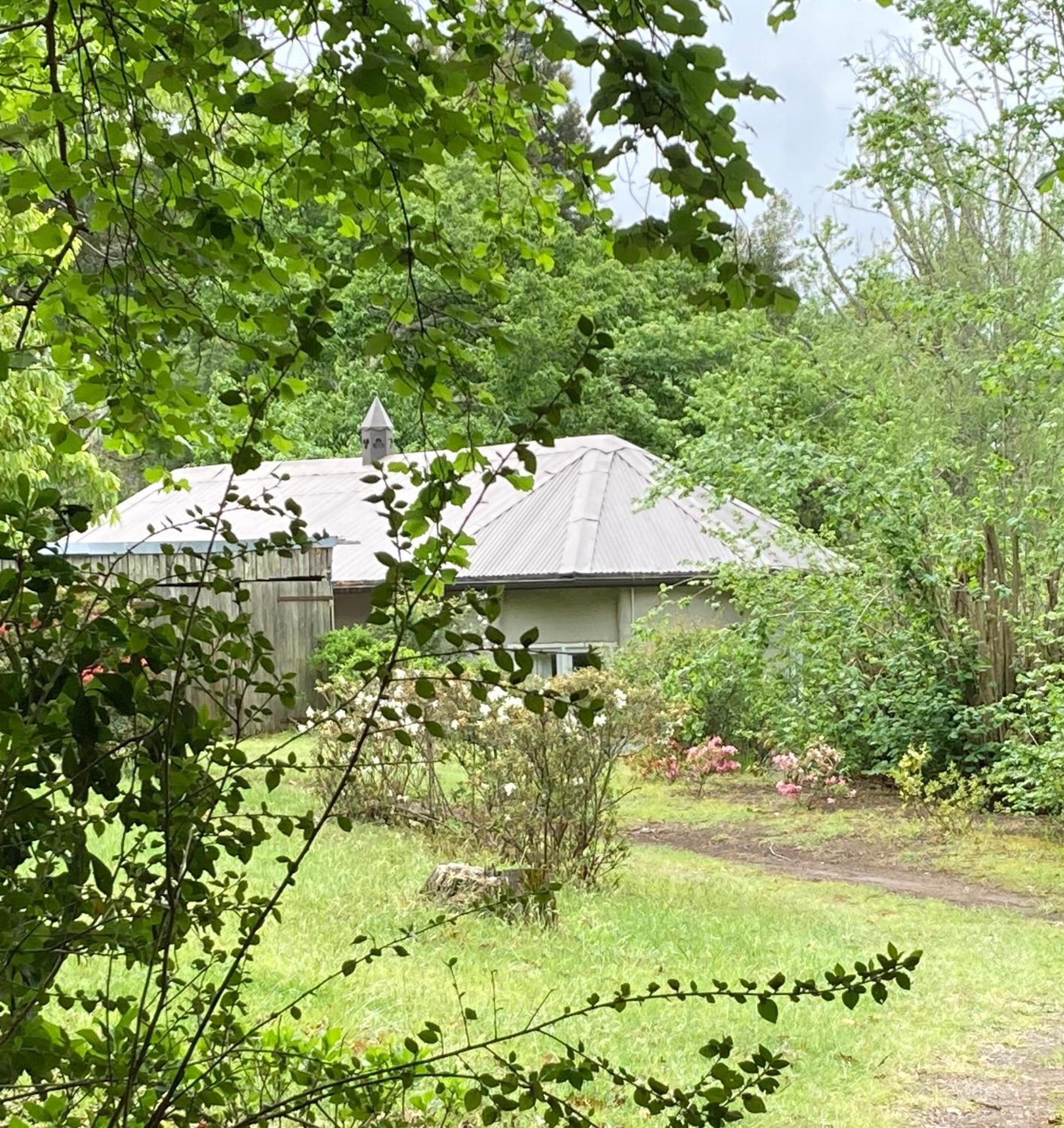 Photo 21