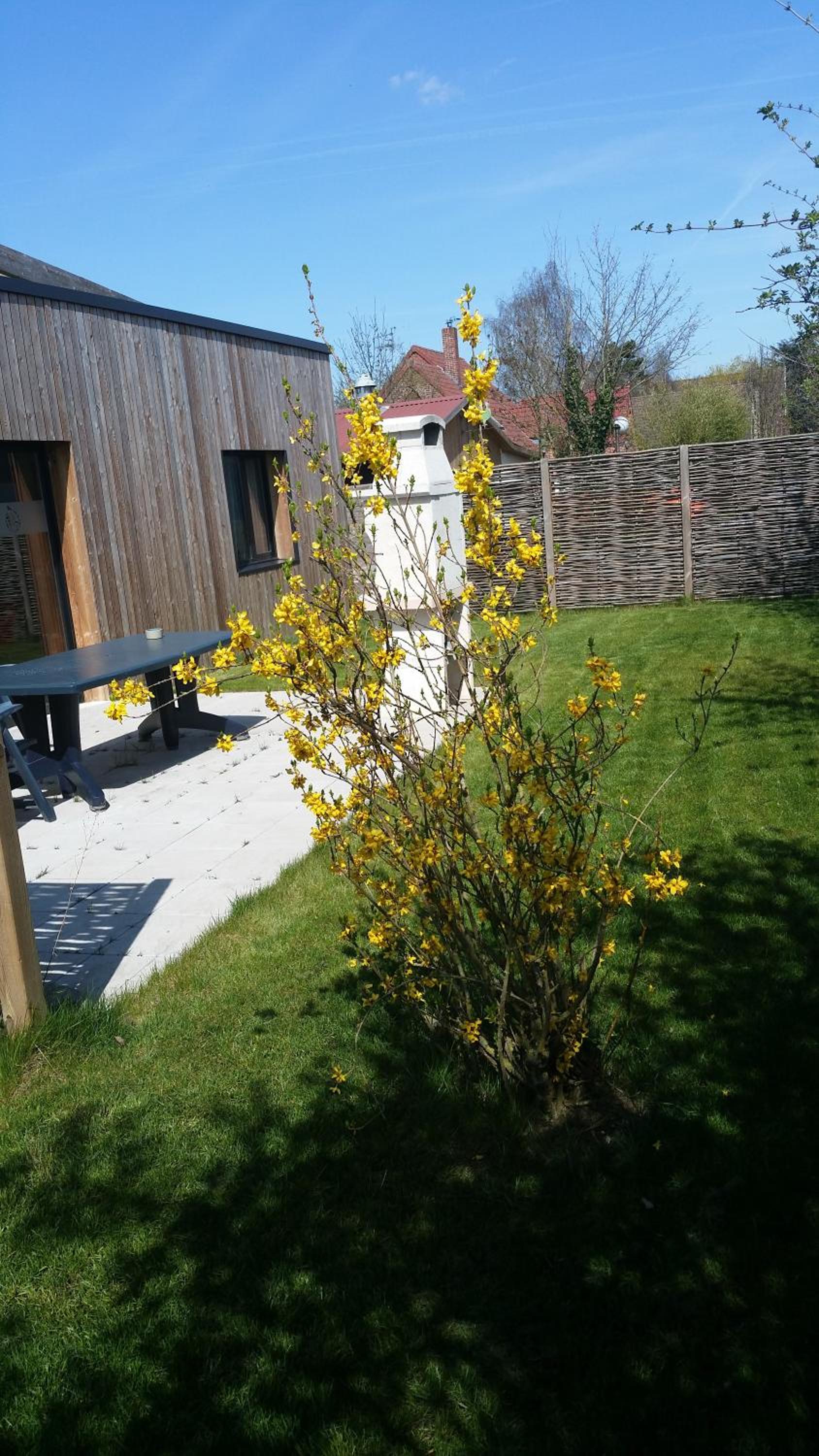 Gîte Noir Lapin, photo 16