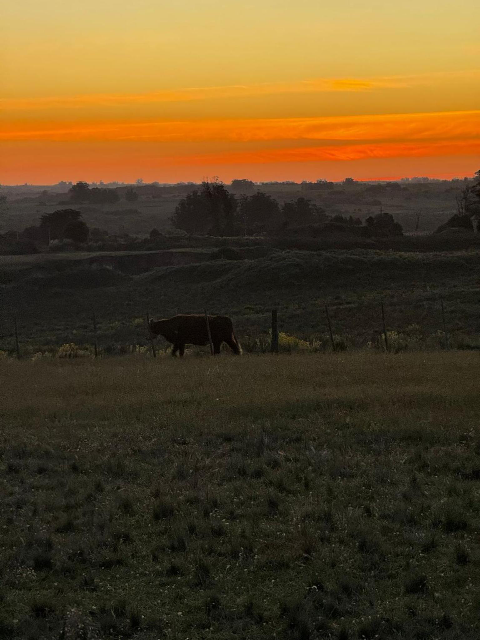 Rancho La Guadalupe