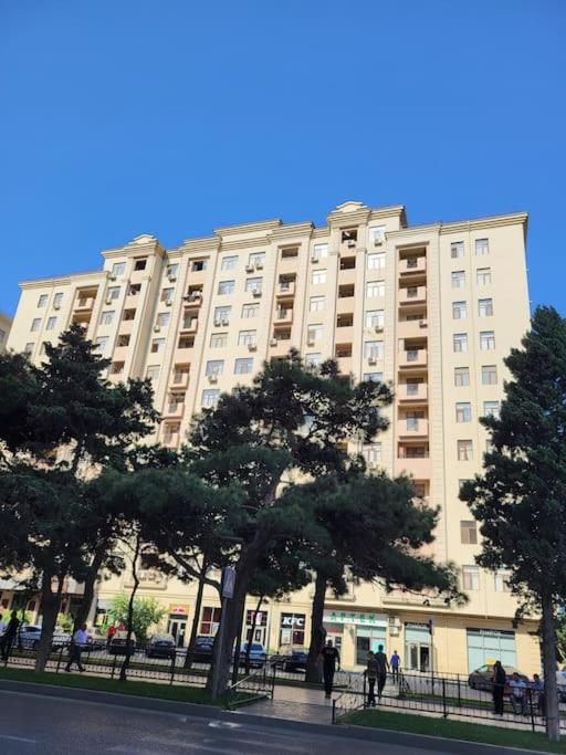 Bakikhanov apartment