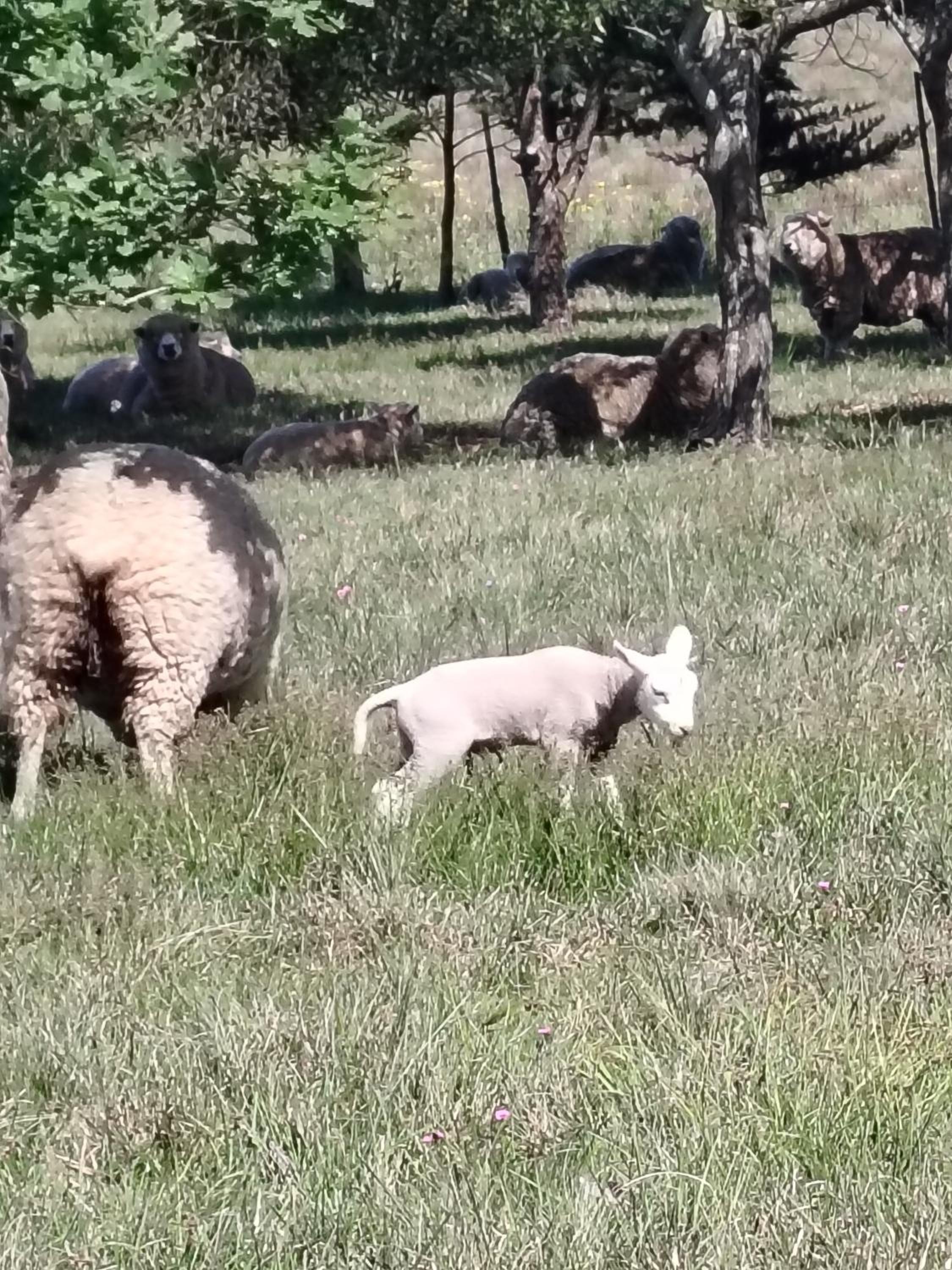 Rancho La Guadalupe