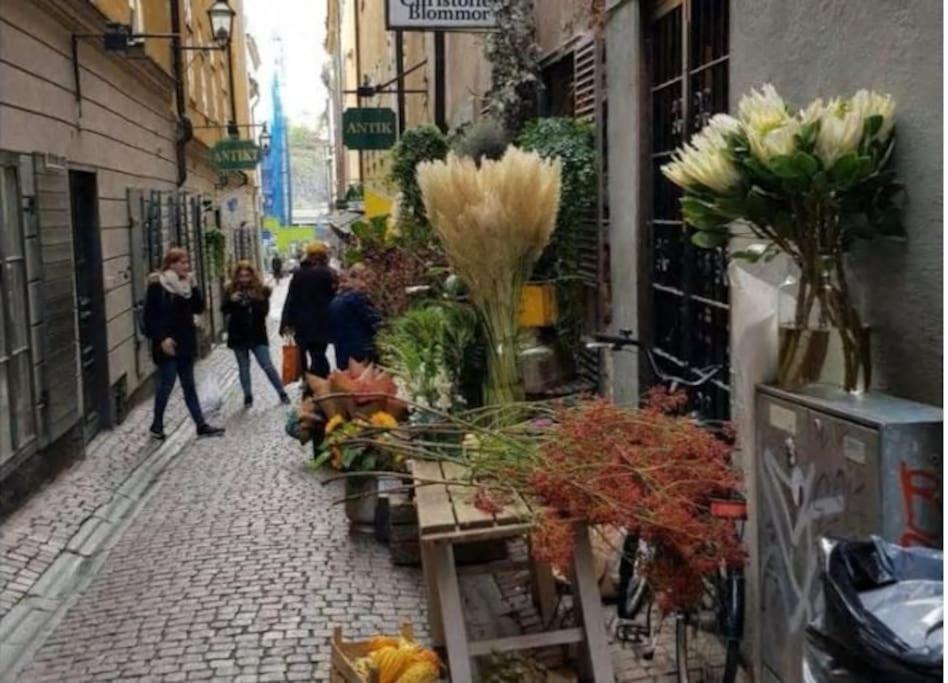 Old Town Stockholm City view 3