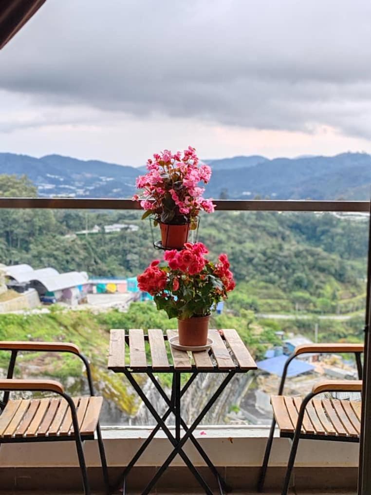 Kensington Sunrise sg, Palas Horizon,kea farm