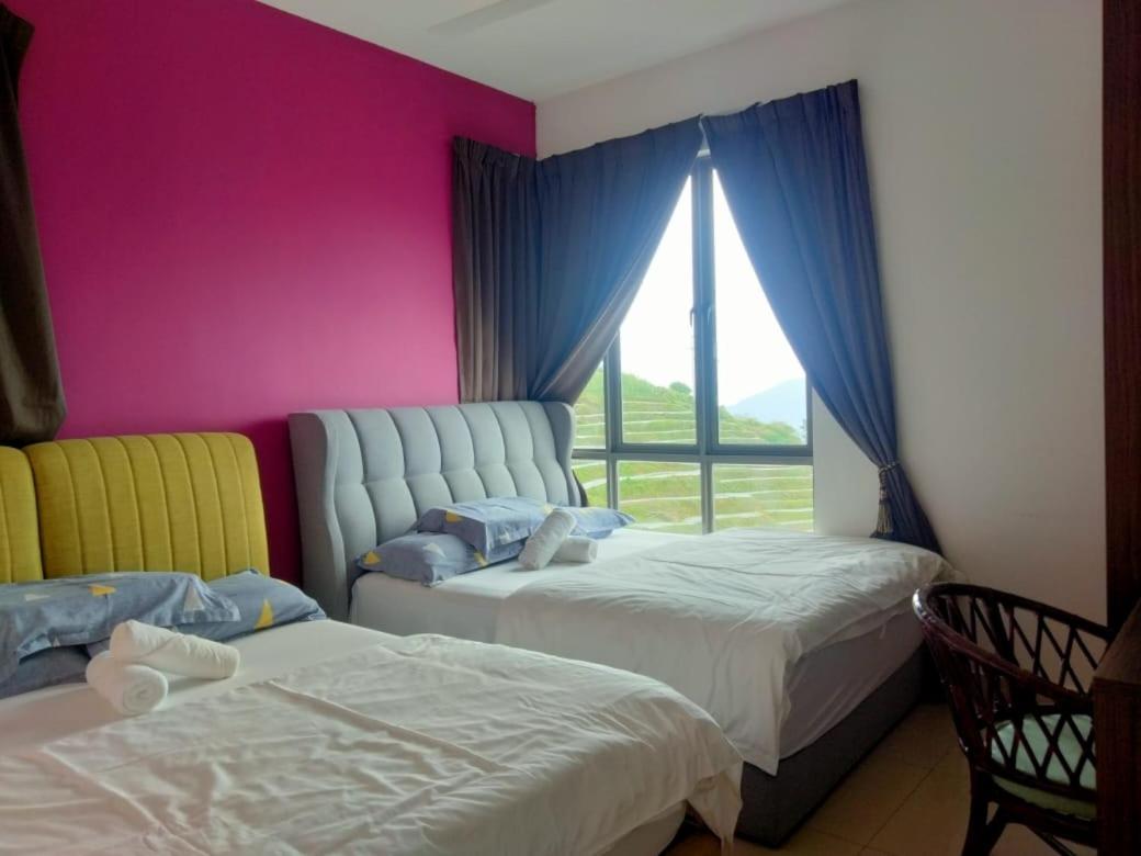 Kensington Sunrise sg, Palas Horizon,kea farm