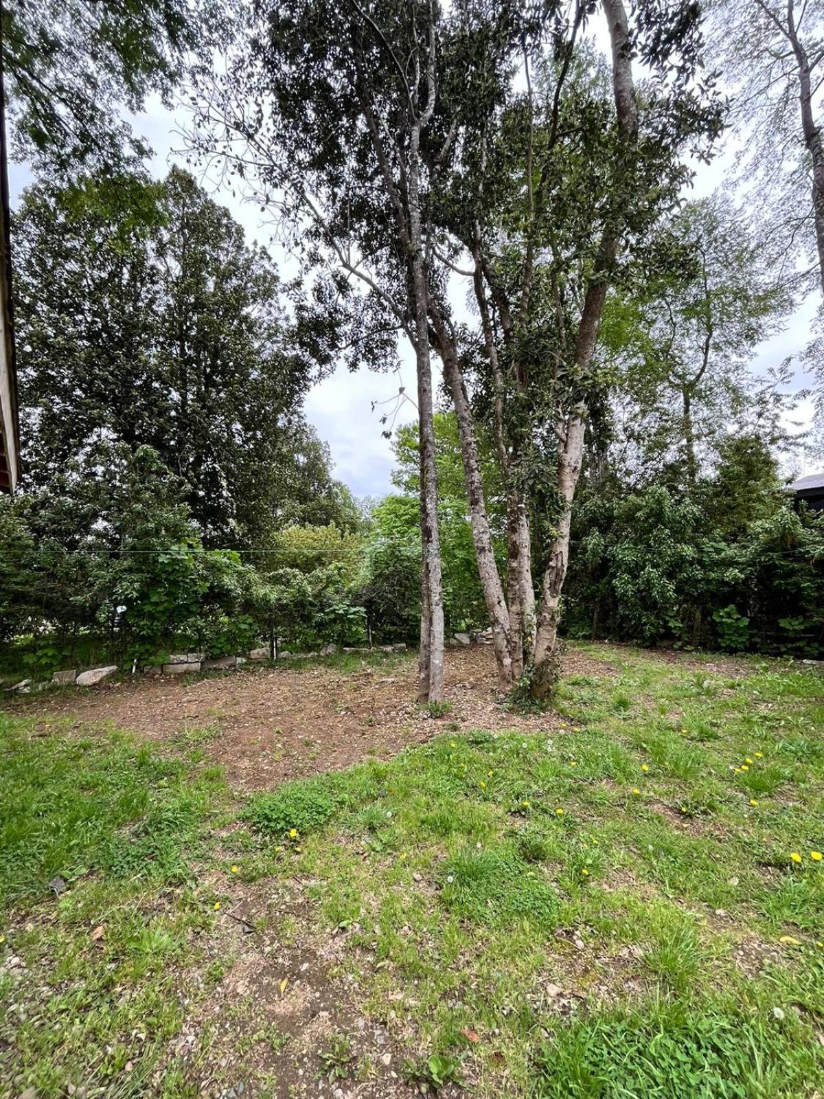 Cabañas totalmente equipadas en Valdivia
