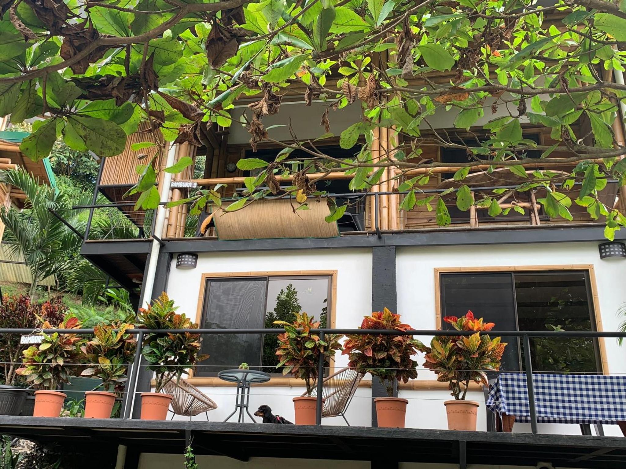 Bambura Hermosa villas