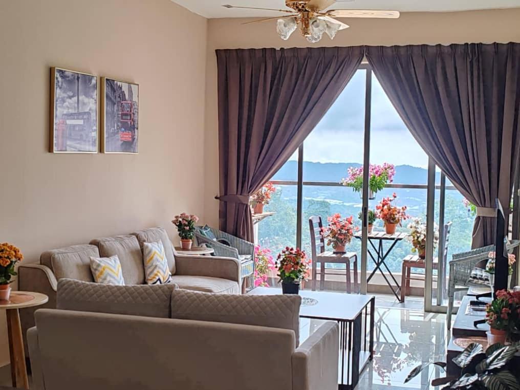 Kensington Sunrise sg, Palas Horizon,kea farm