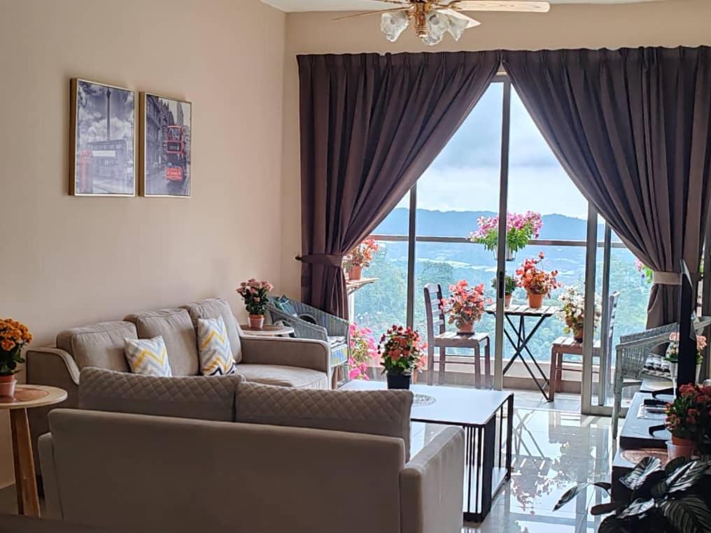 Kensington Sunrise sg, Palas Horizon,kea farm