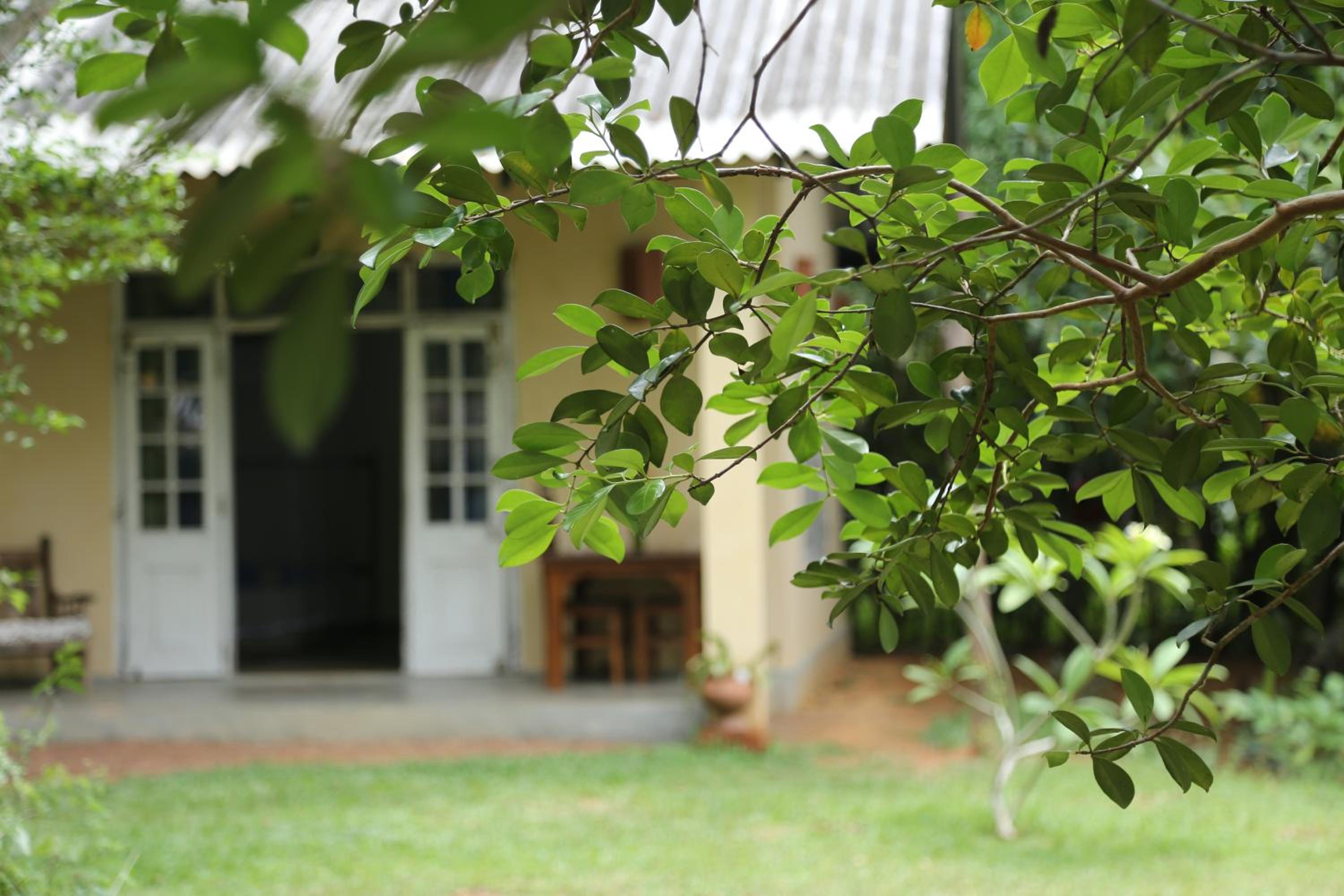 The Cinnamon Cottage