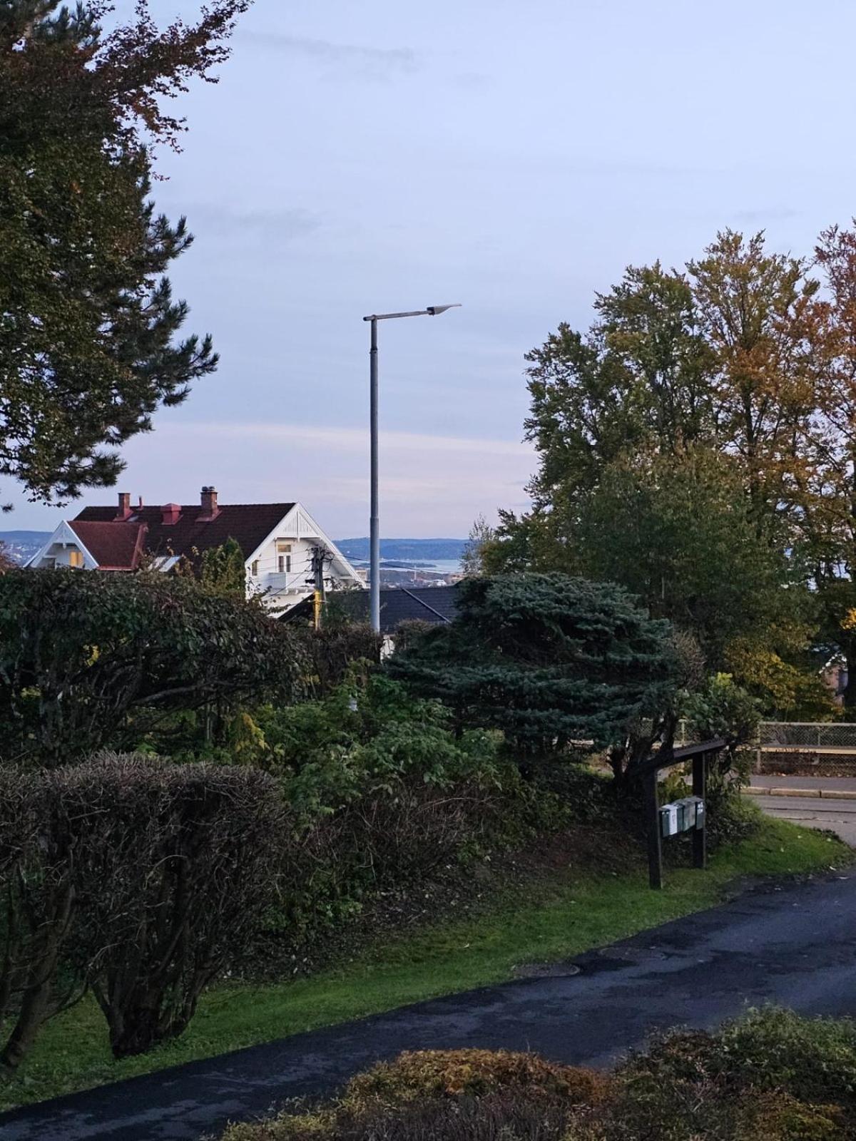 Photo 41