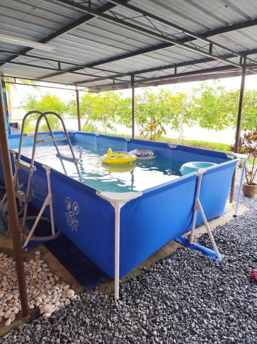 Homestay with Pool photo 3