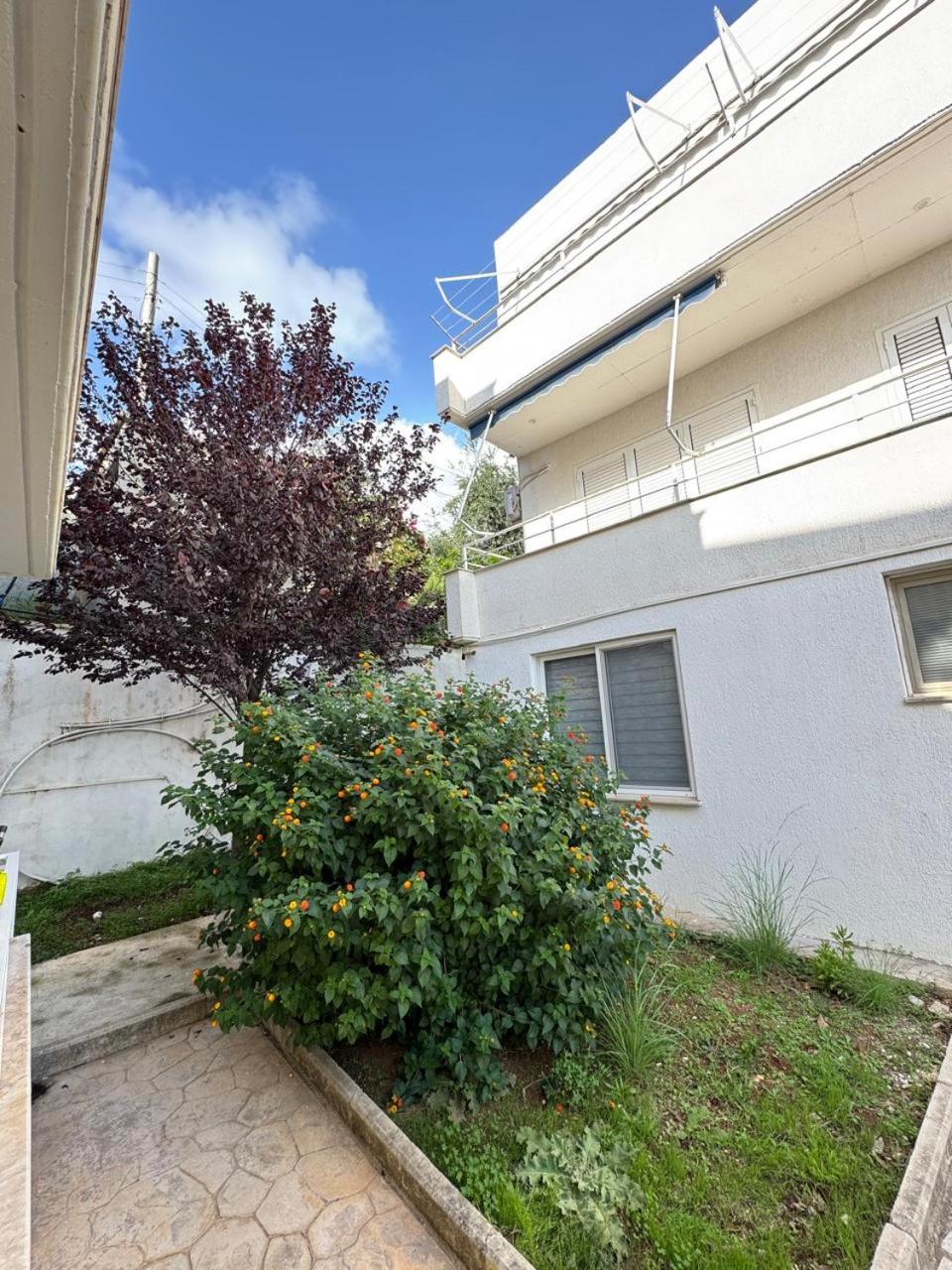 Natali Apartments