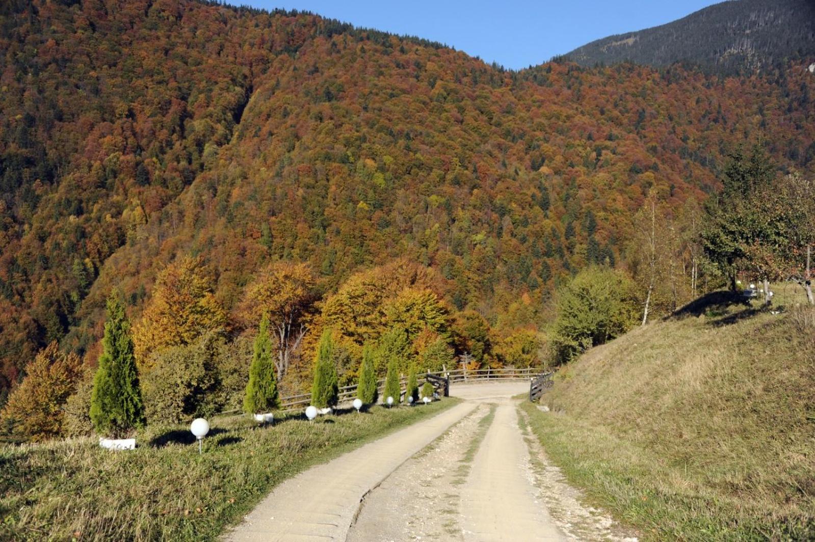 Pensiunea Magura
