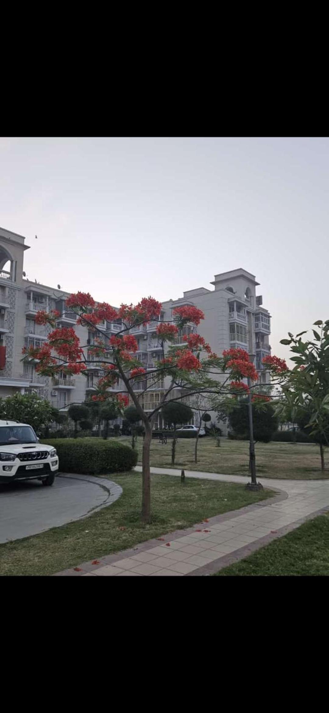 Hotel Homestay Omaxe