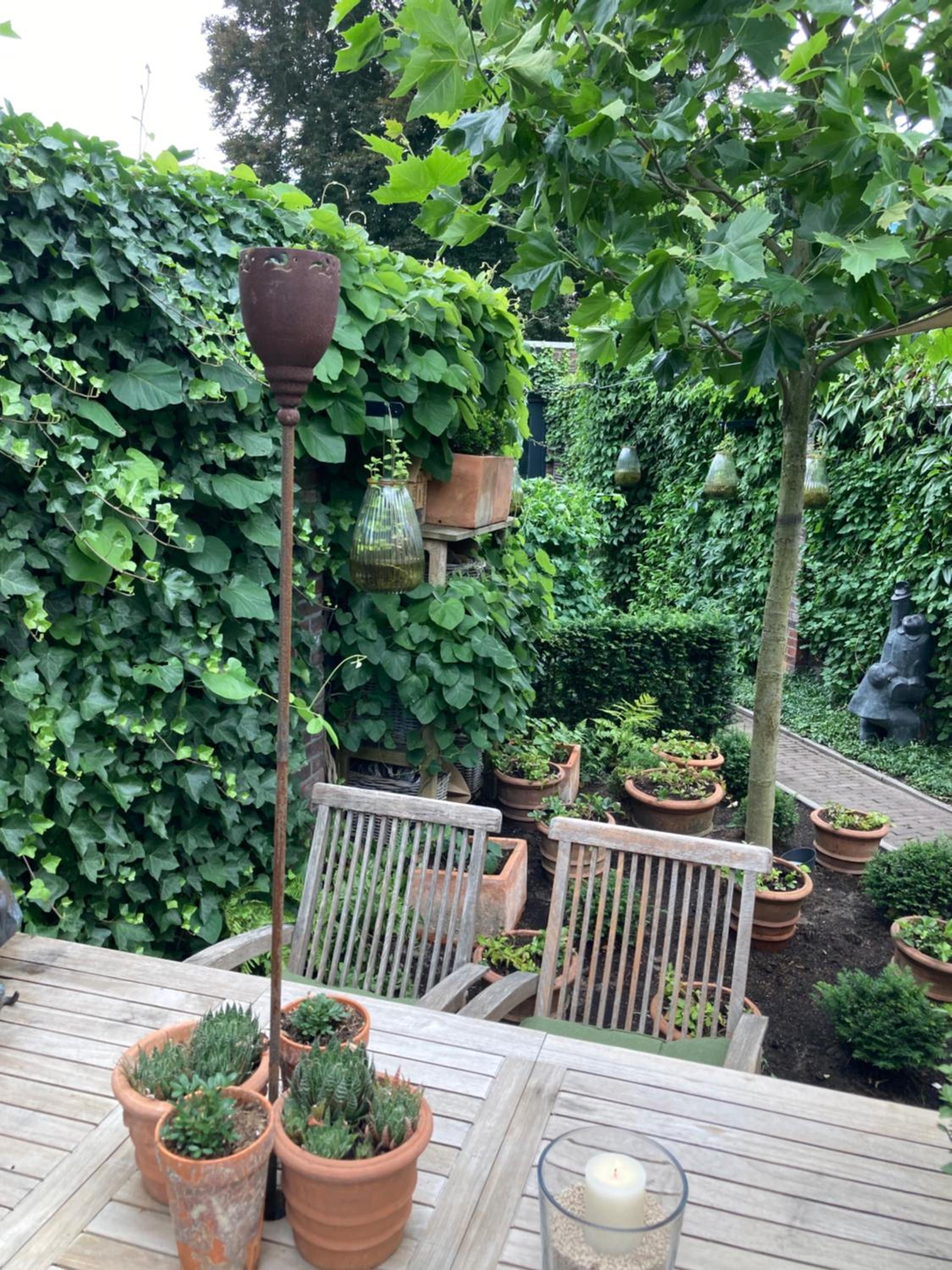 Verrassende ruime Stadswoning nabij station, centrum met unieke tuin. view 5