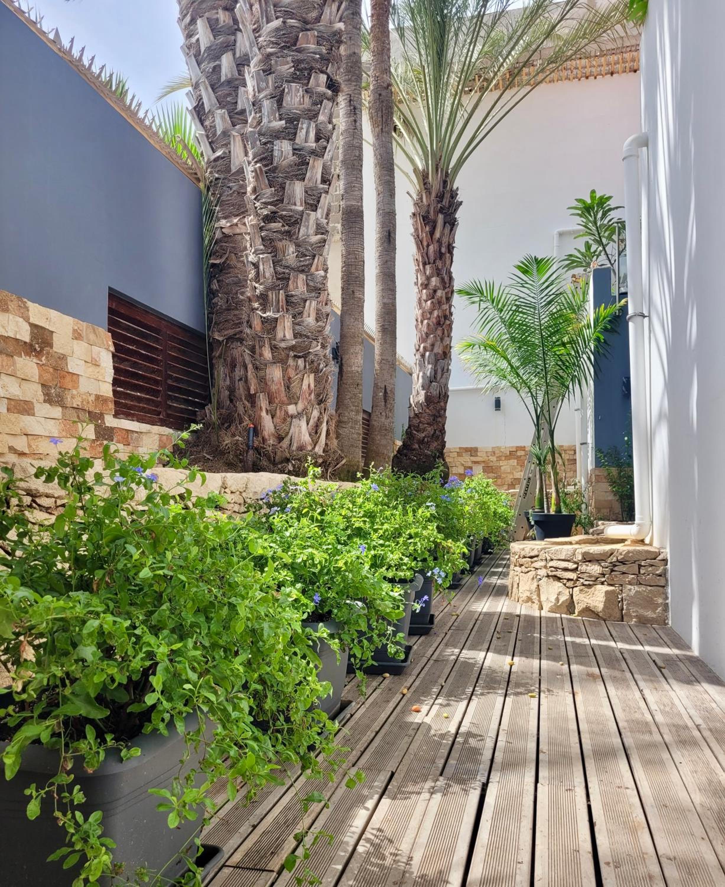 Zweite Heimat - Townhouse Boa Vista