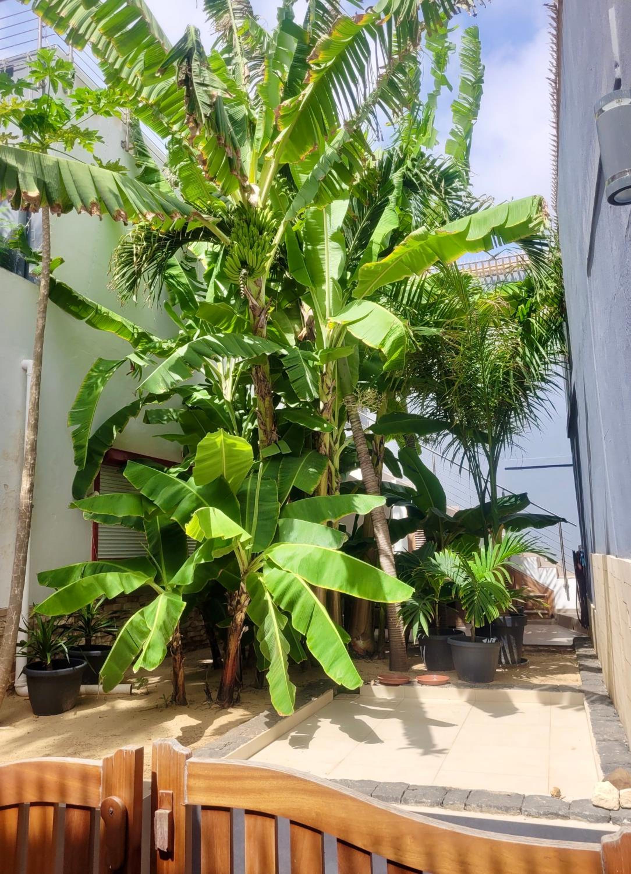 Zweite Heimat - Townhouse Boa Vista