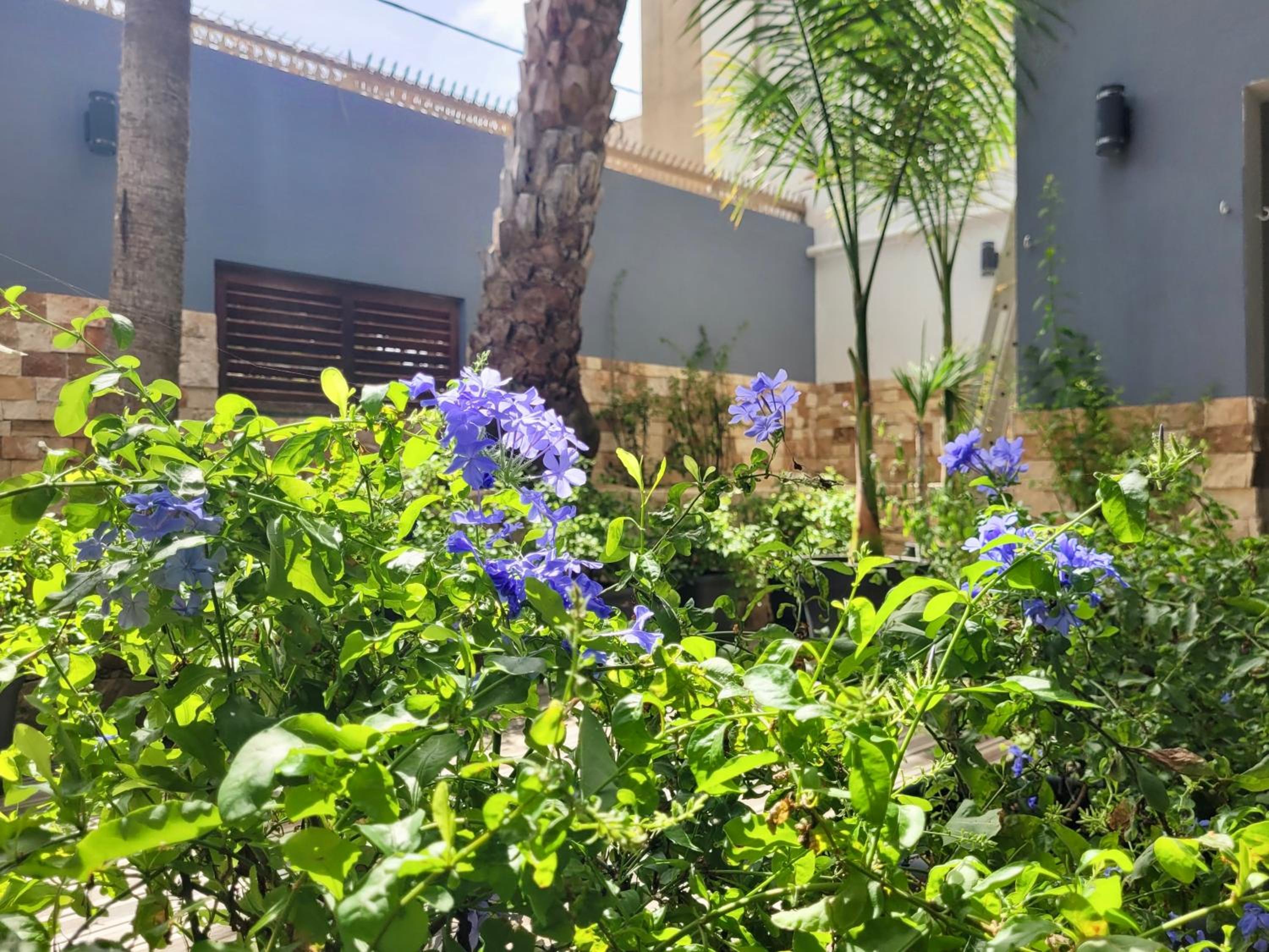 Zweite Heimat - Townhouse Boa Vista