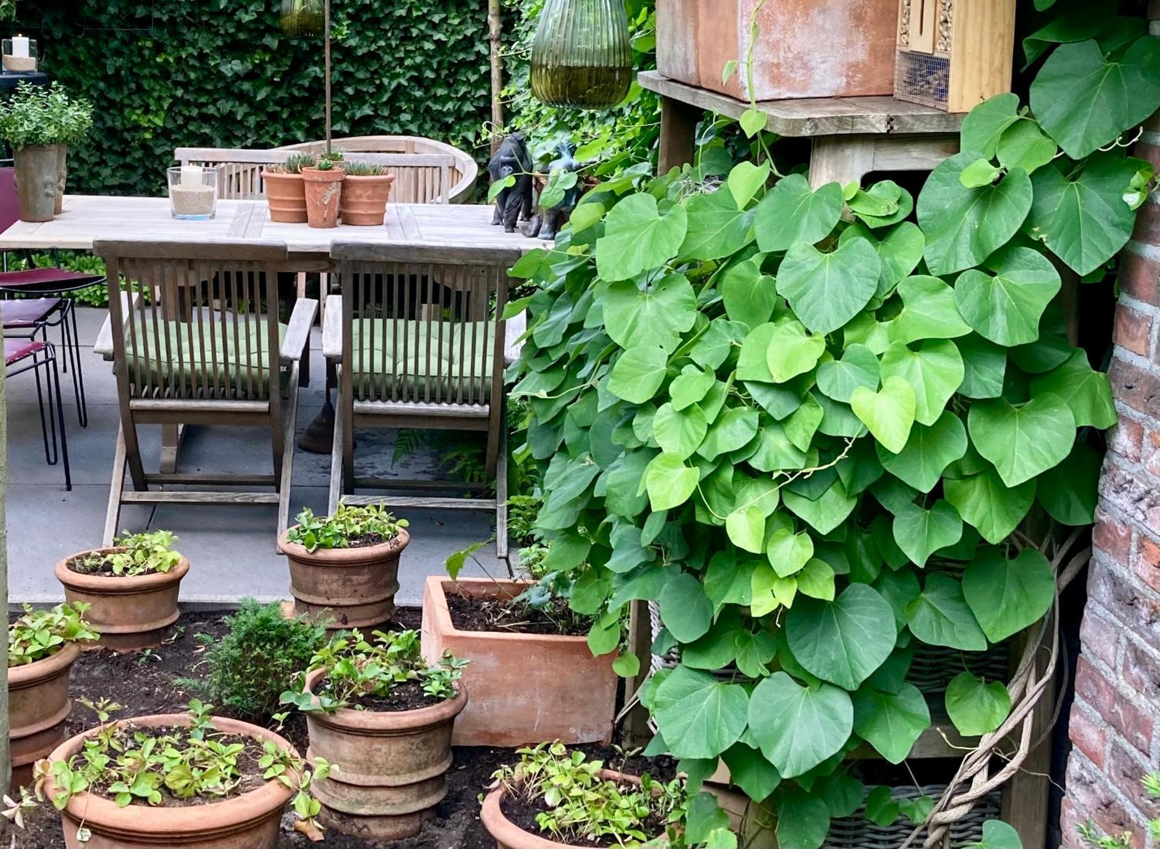Verrassende ruime Stadswoning nabij station, centrum met unieke tuin. view 2
