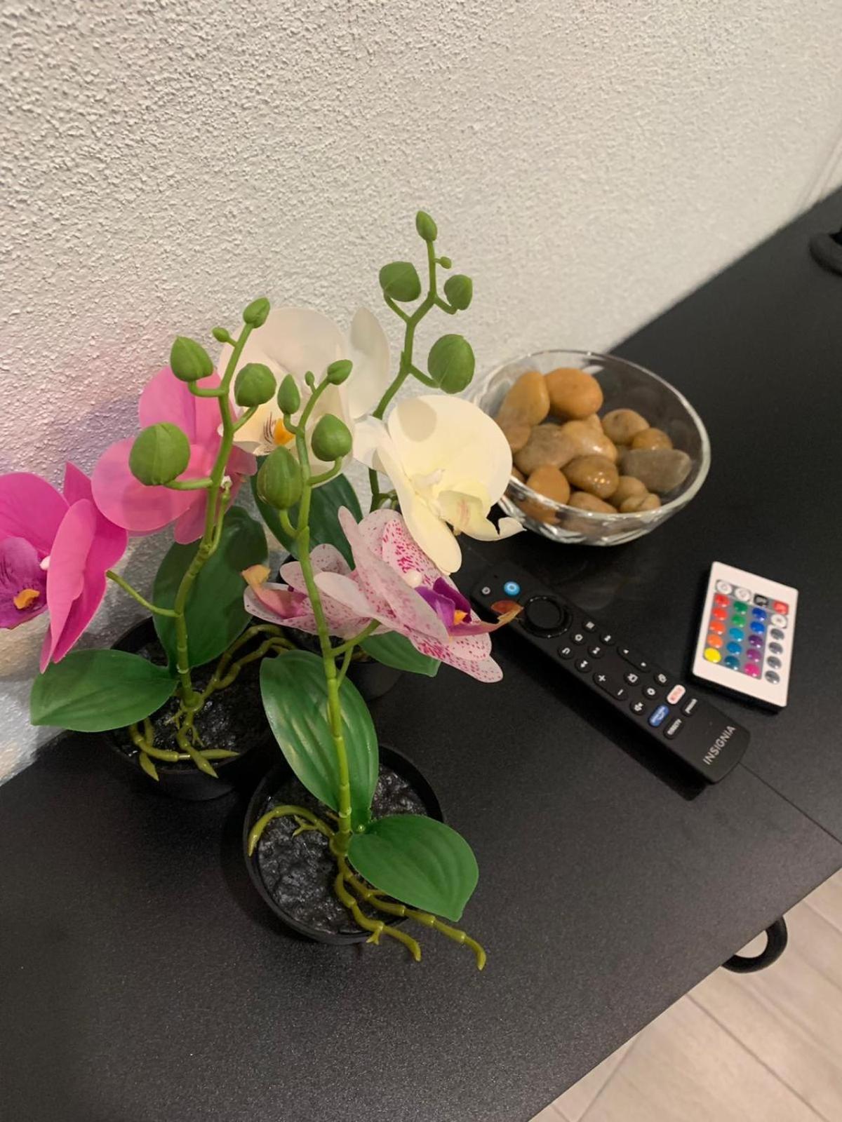 Hotel Sunset Serenity - Image 1