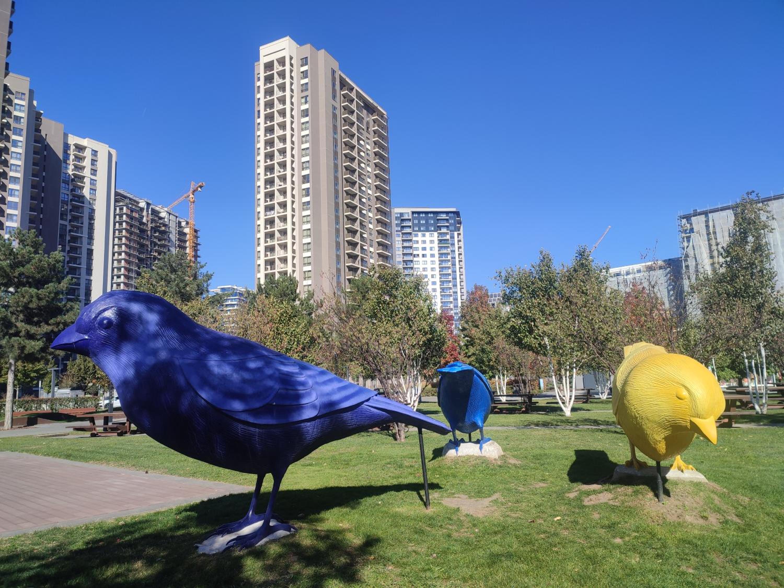 Blue Sparrow, city center studio