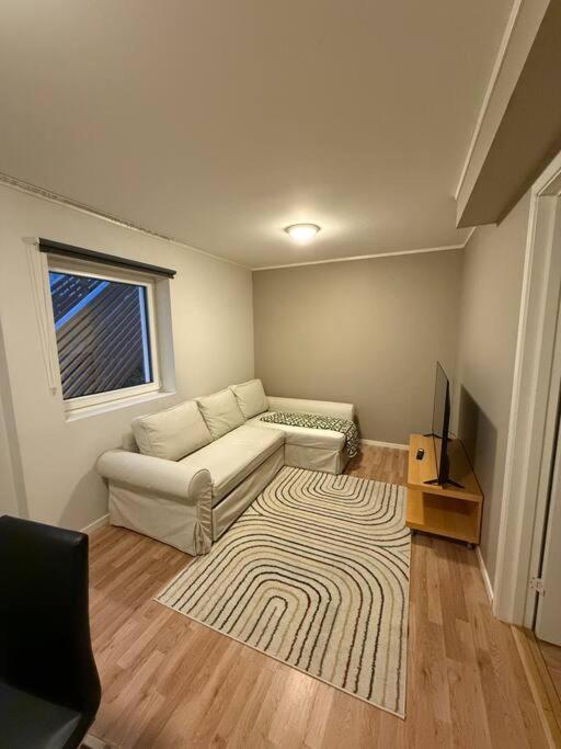 Aurora appartment