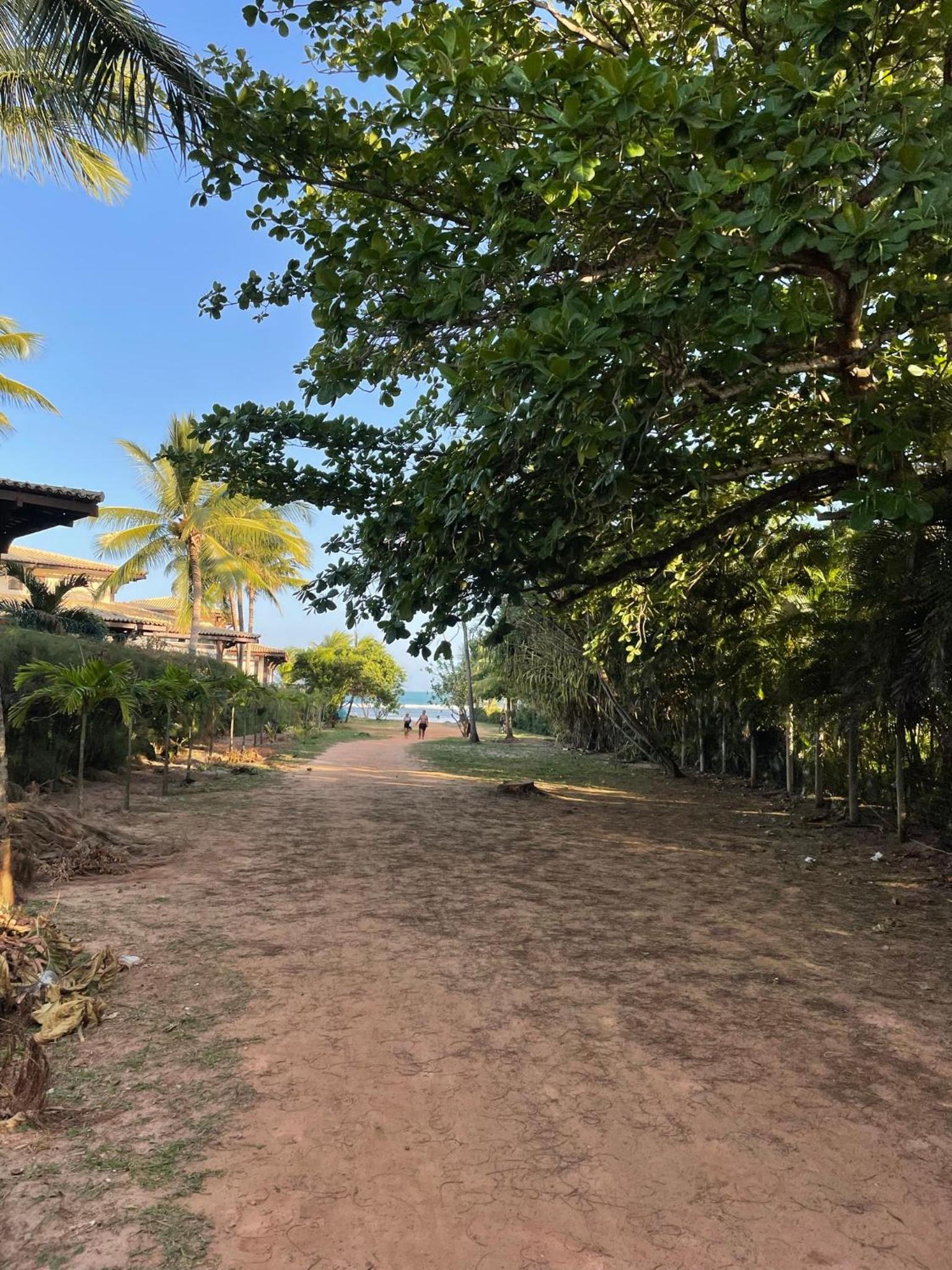 Apt Tranquilo na Praia do Forte