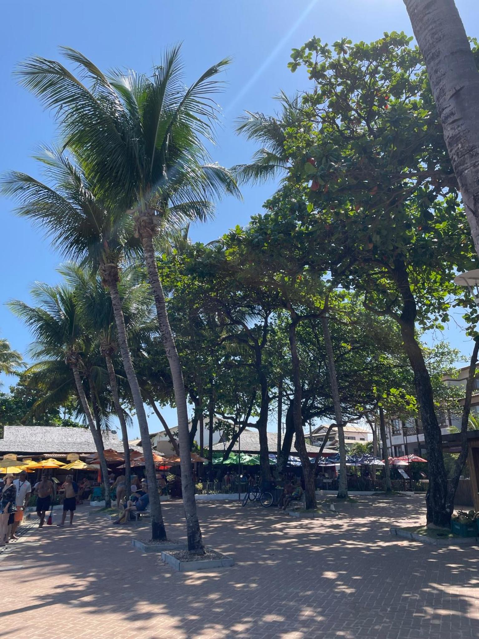 Apt Tranquilo na Praia do Forte