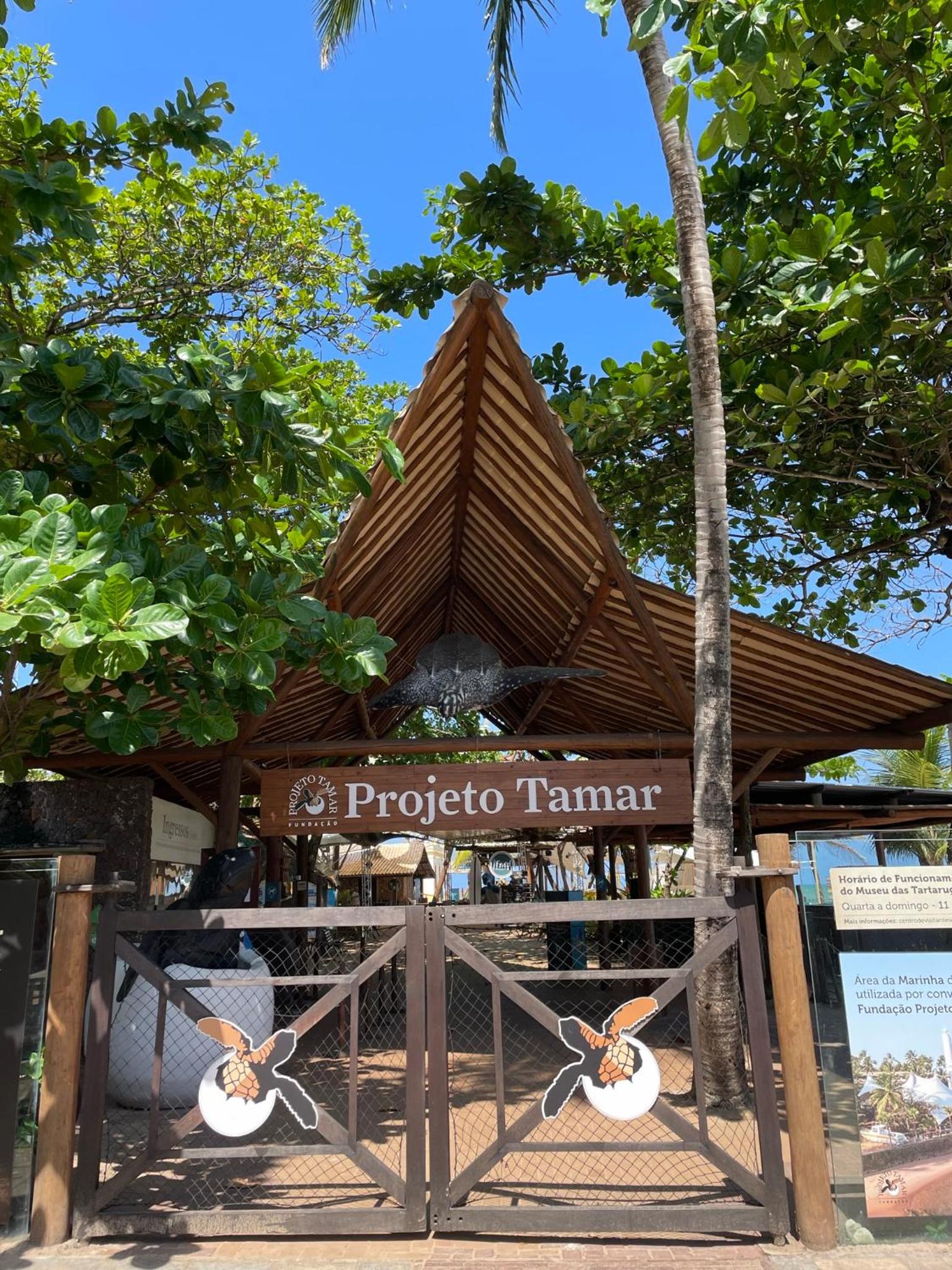 Apt Tranquilo na Praia do Forte