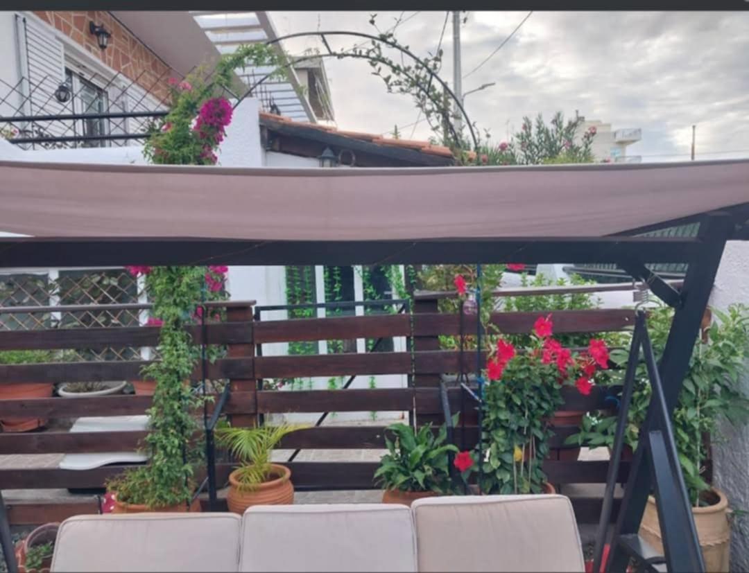 Zoe garden home
