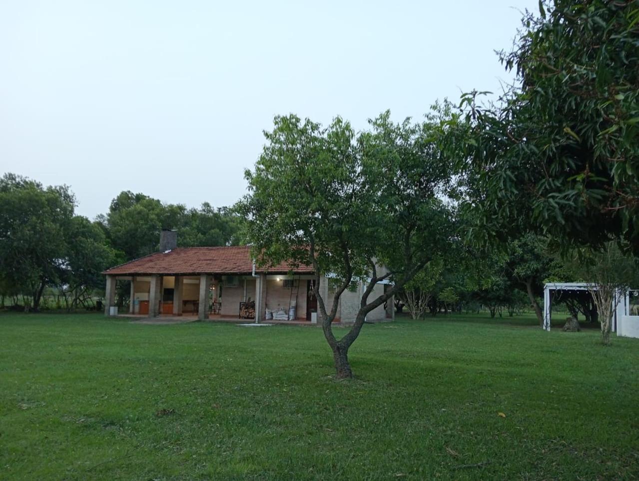 Photo 24