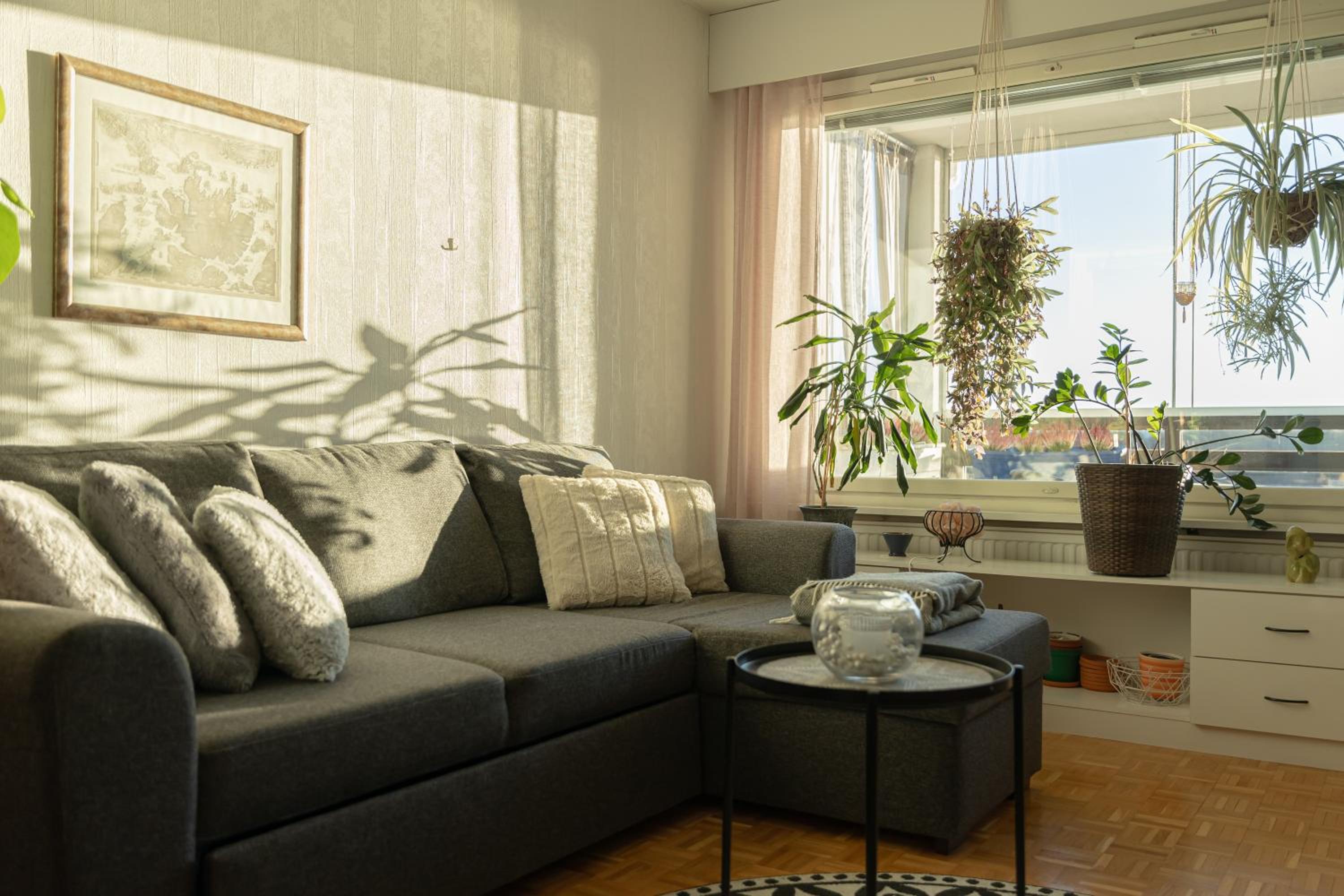 Lapland Aurora Suite by BookLapland