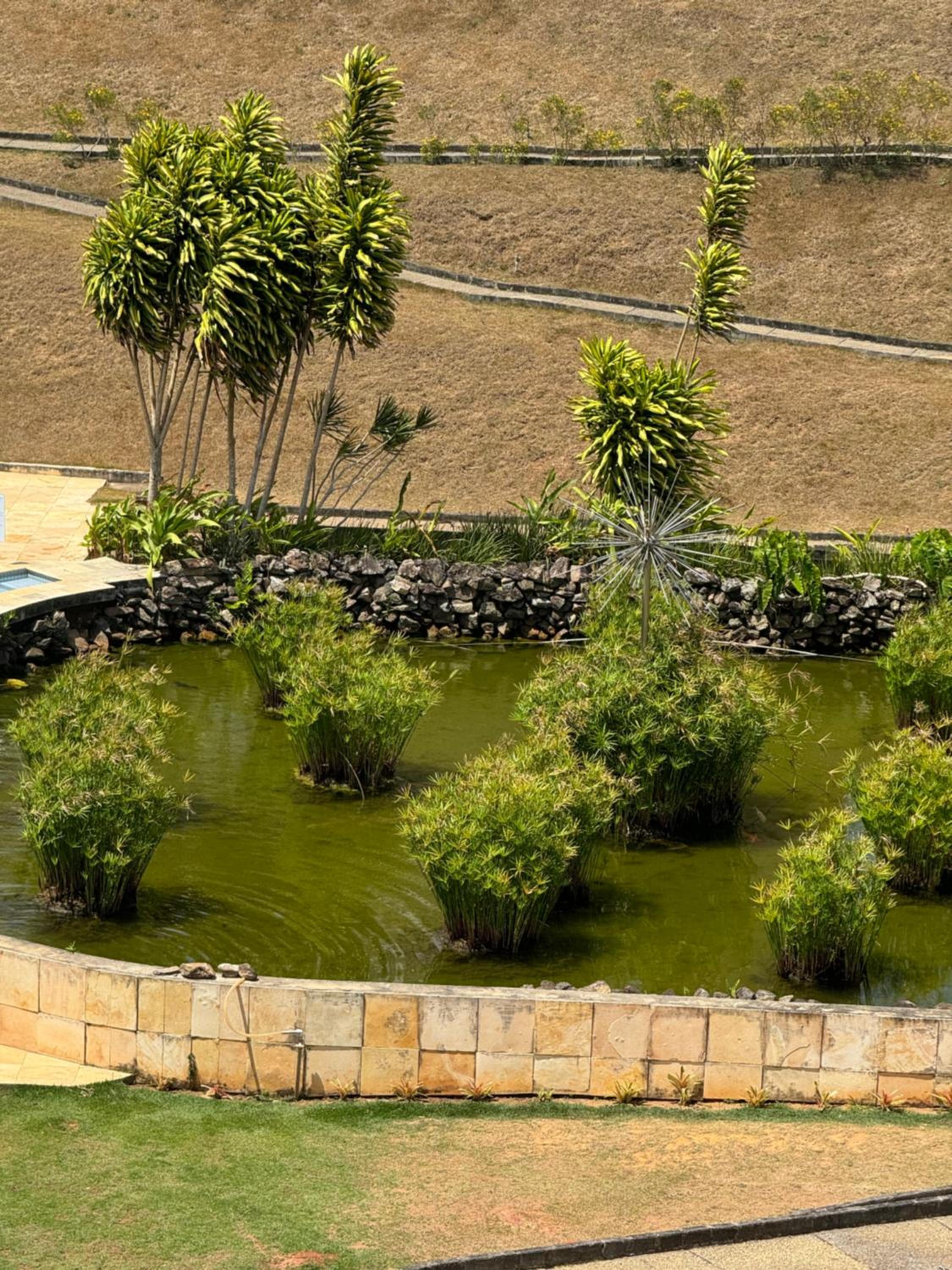Sonhos da Serra Bananeiras - O melhor apartamento de bananeiras