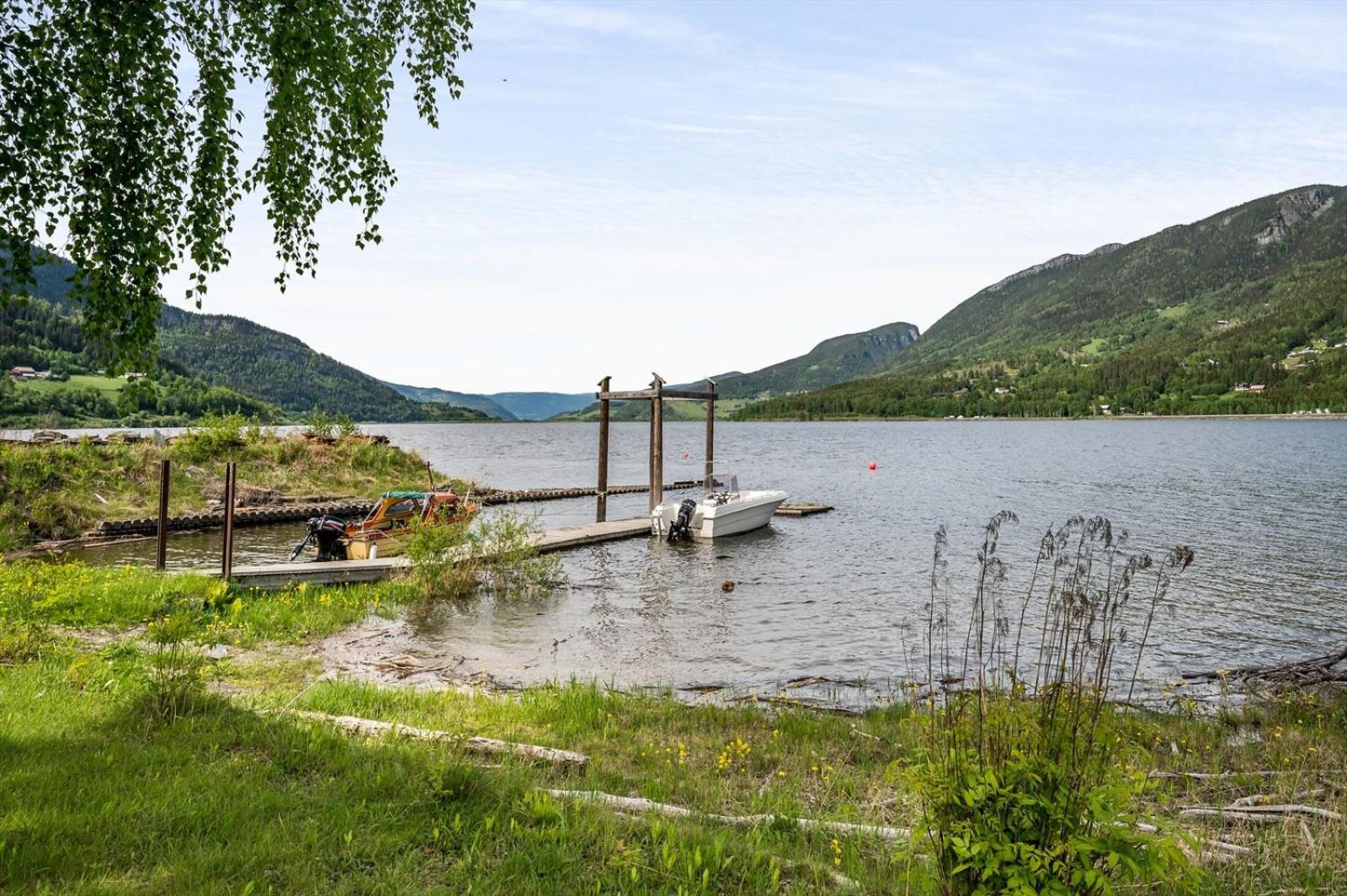 Hytte med fin natur