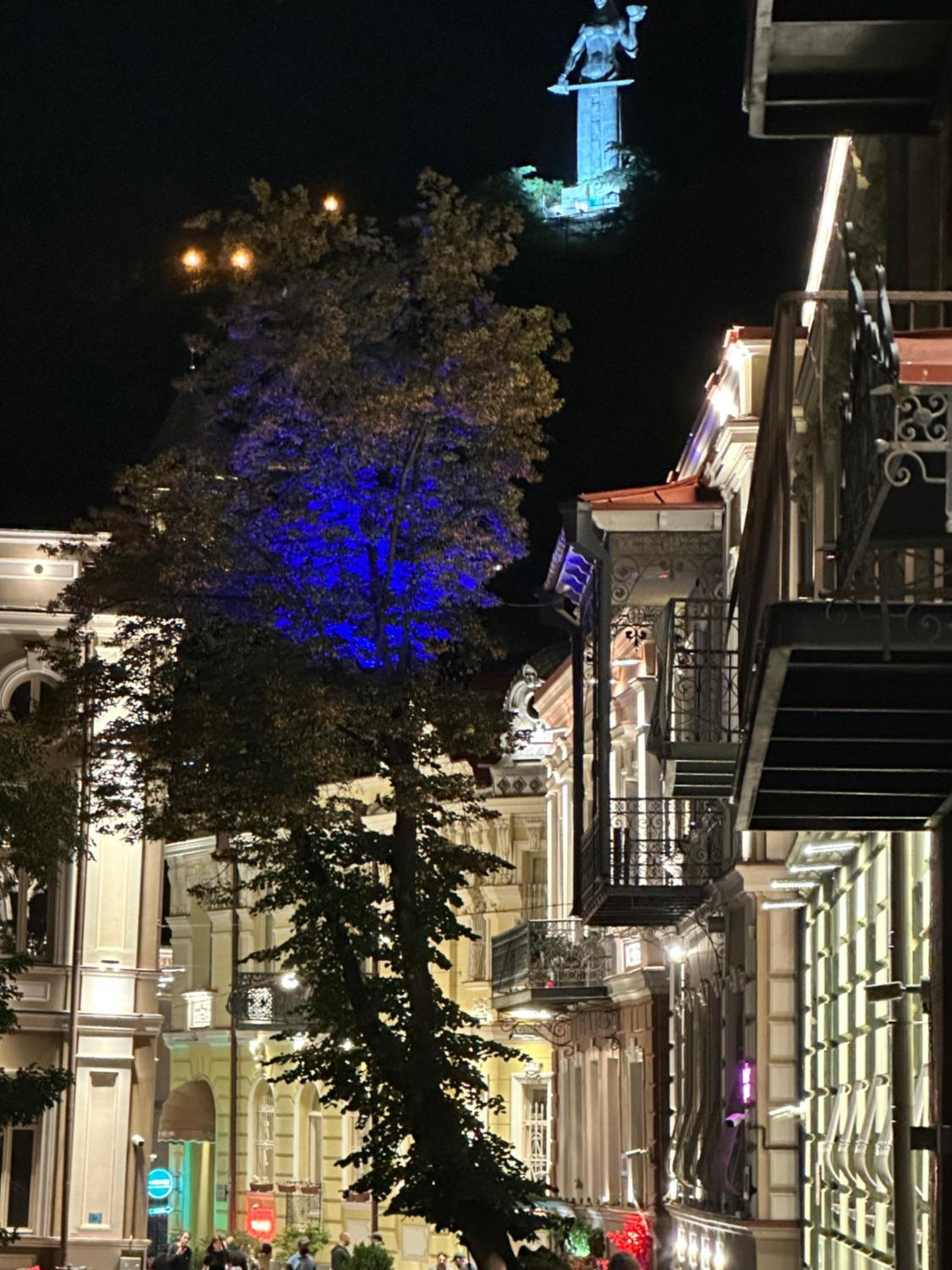Apartment Gudiashvili square