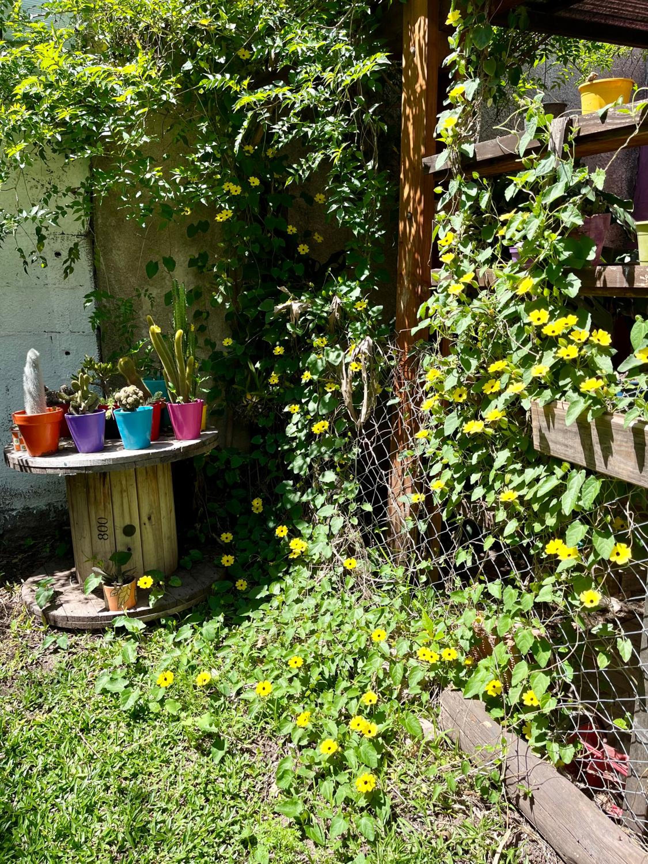 Cabaña soles