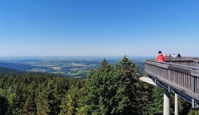 Sternenacht