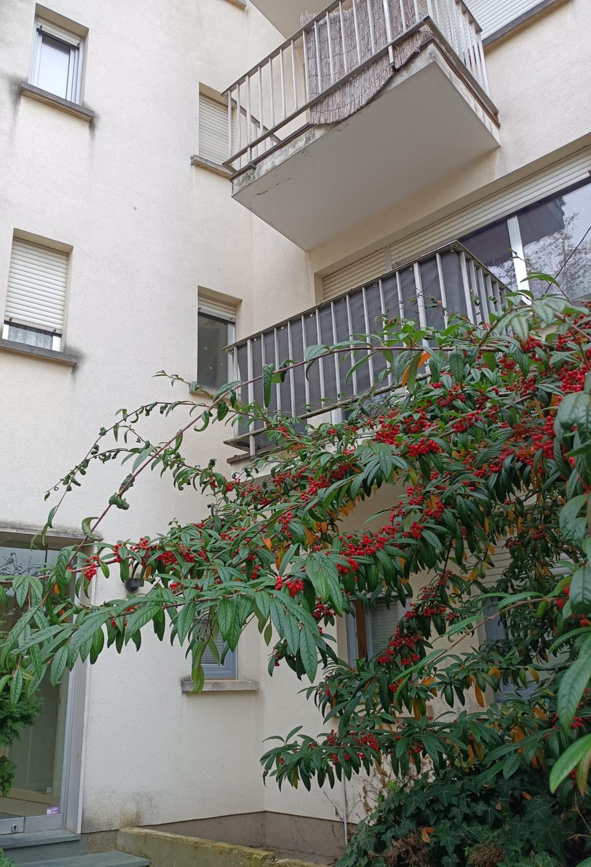 Casa Limpertsberg