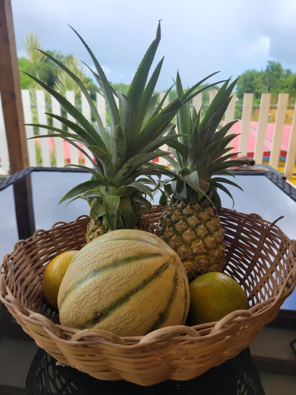 Photo 7