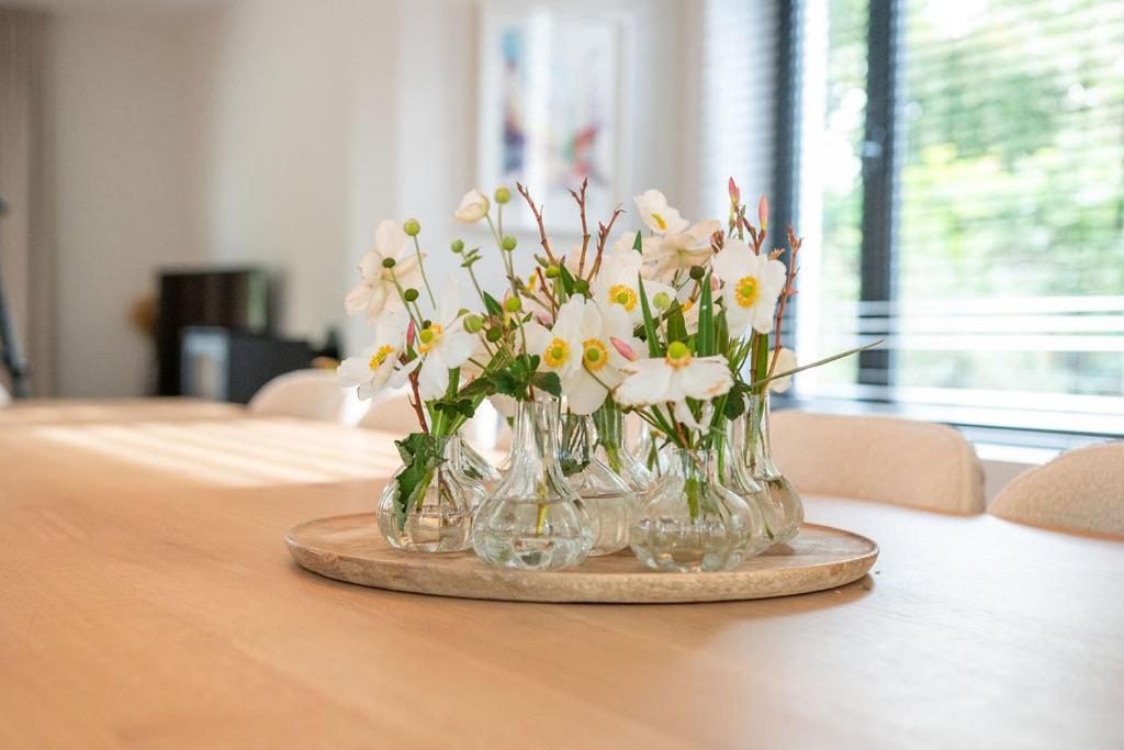 5 Star Ruime en Zonnige Vakantiewoning SVN7tien