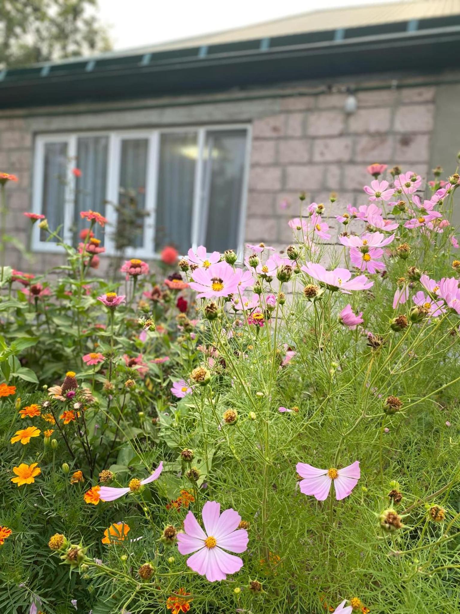 Mush Guest House in Sanahin