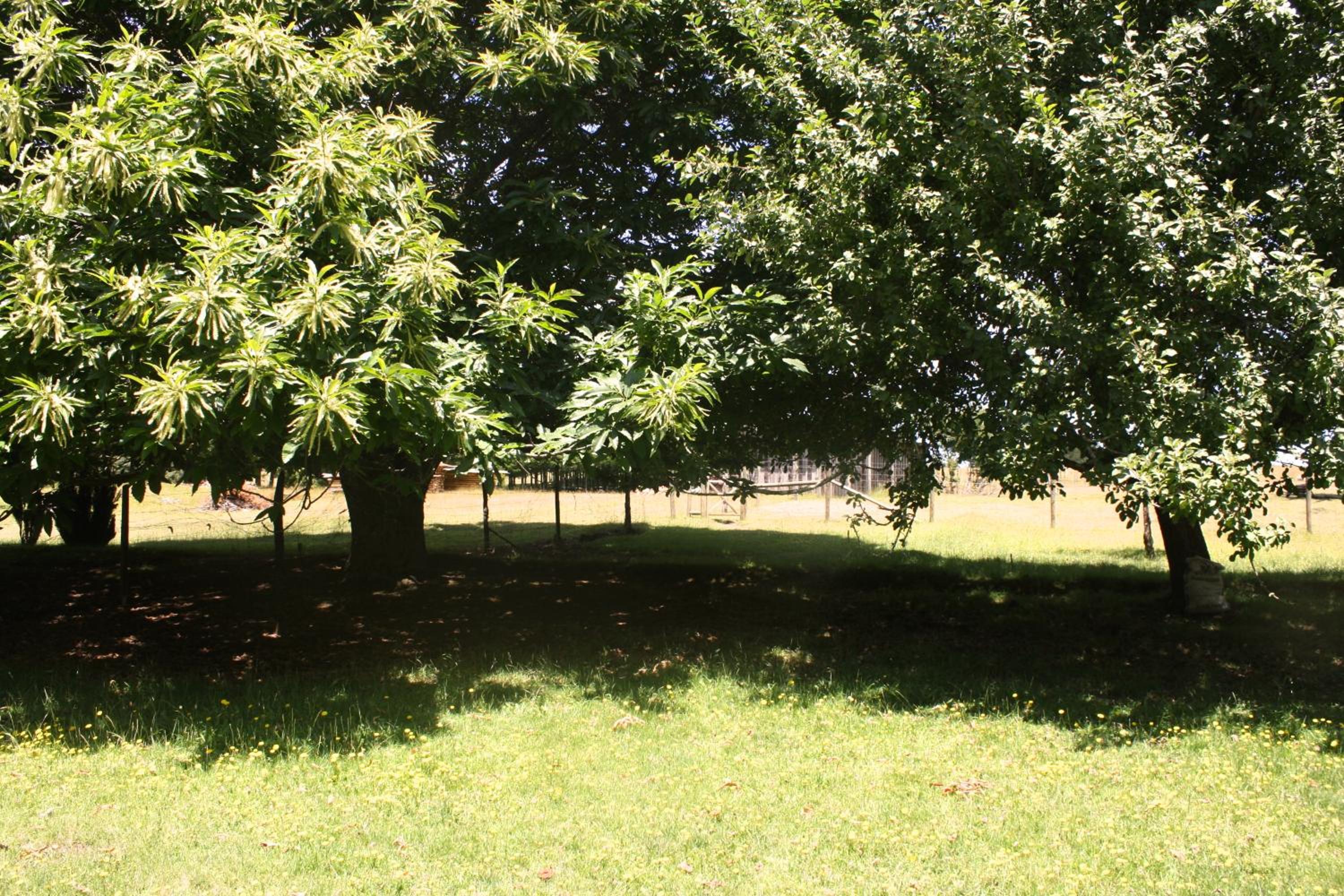 Cabaña Aroma de Campo
