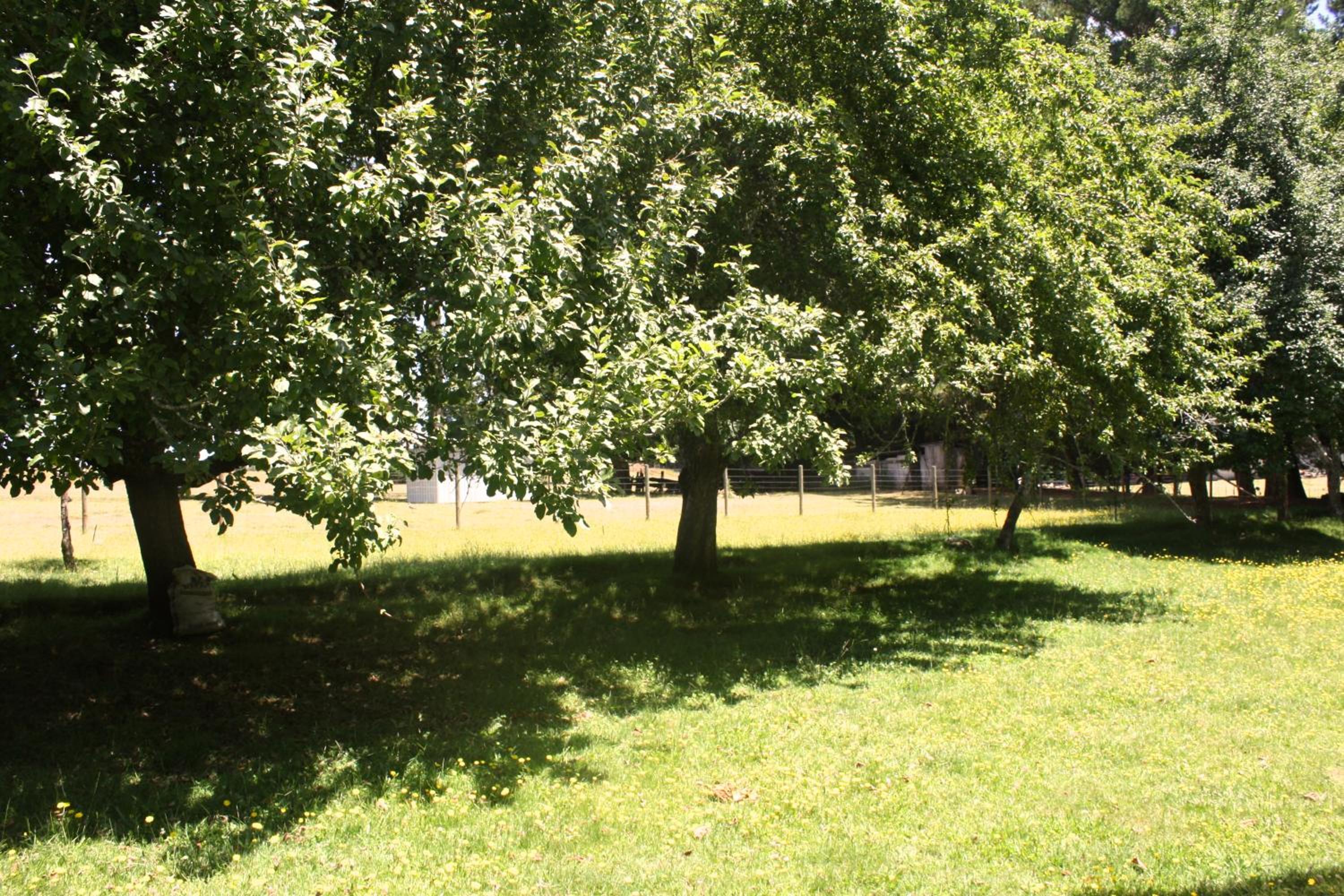 Cabaña Aroma de Campo